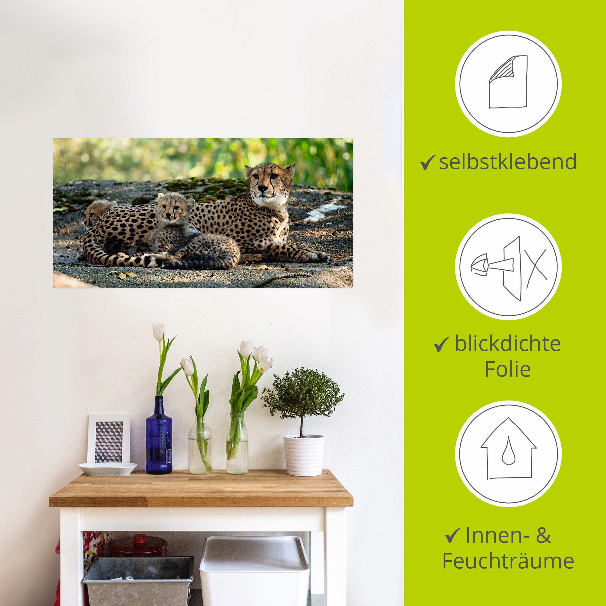 Artland Wandbild »Gepard 2«, Wildtiere, (1 St.), als Leinwandbild, Poster, Wandaufkleber in verschied. Größen