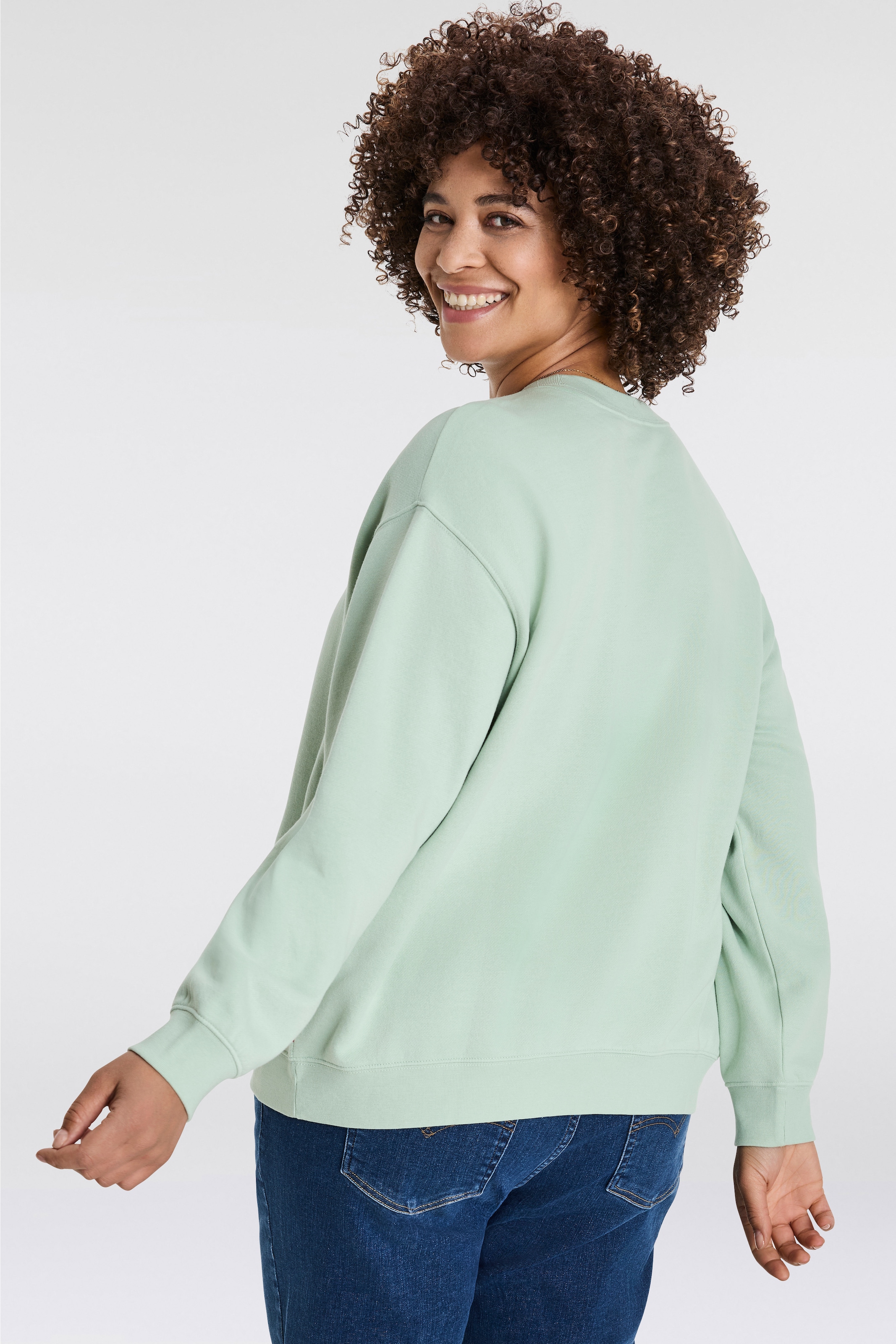Levi's® Plus Sweatshirt »PL GR EVERYDAY CREW«