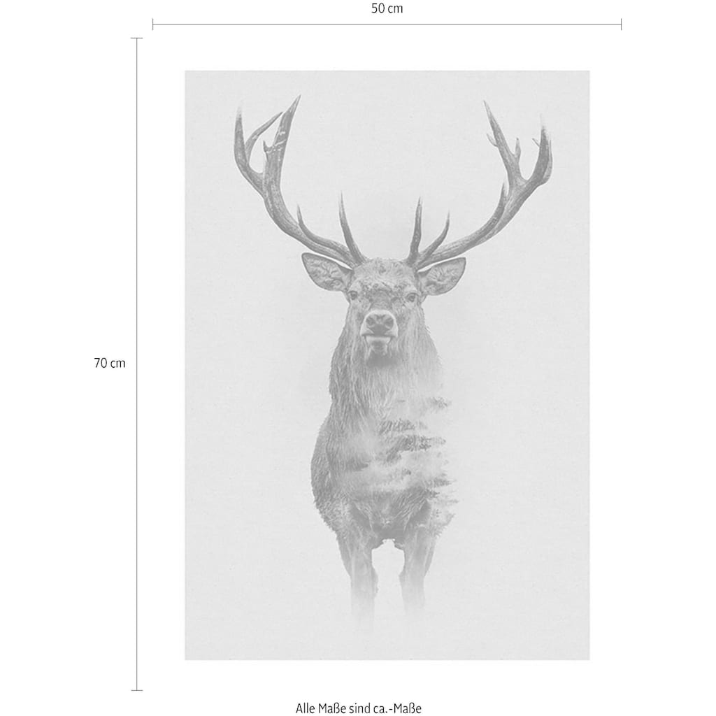Komar Poster »Animals Forest Deer«, Tiere, (1 St.)
