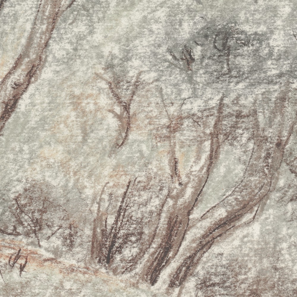 Komar Fototapete »Vlies Fototapete - Grove - Größe 350 x 250 cm« Motiv | bedruckt glatt