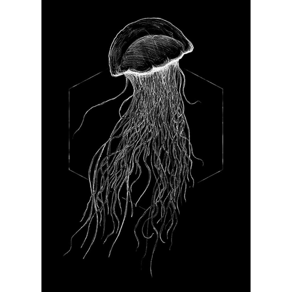 Komar Poster »Jellyfish Black«, Tiere, (1 St.), Kinderzimmer, Schlafzimmer, Wohnzimmer