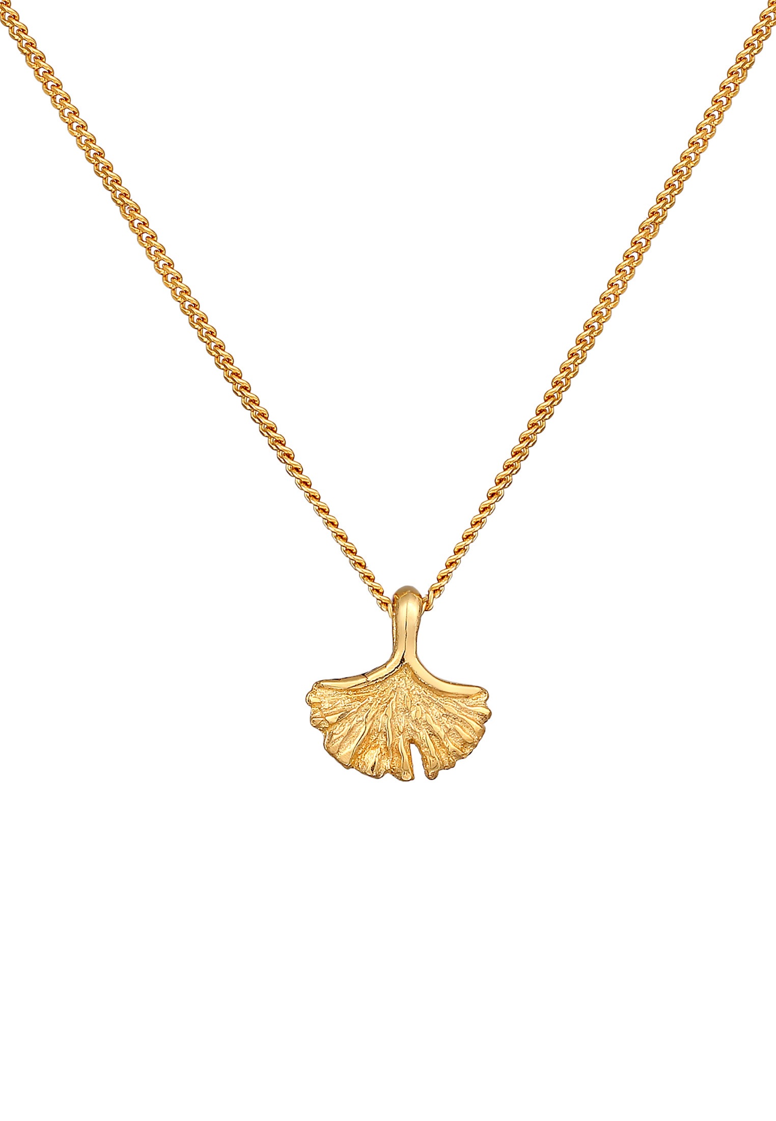 Elli Premium Kette mit Anhänger »Halskette Ginkgo Blatt Anhänger Natur 375er Gelbgold«