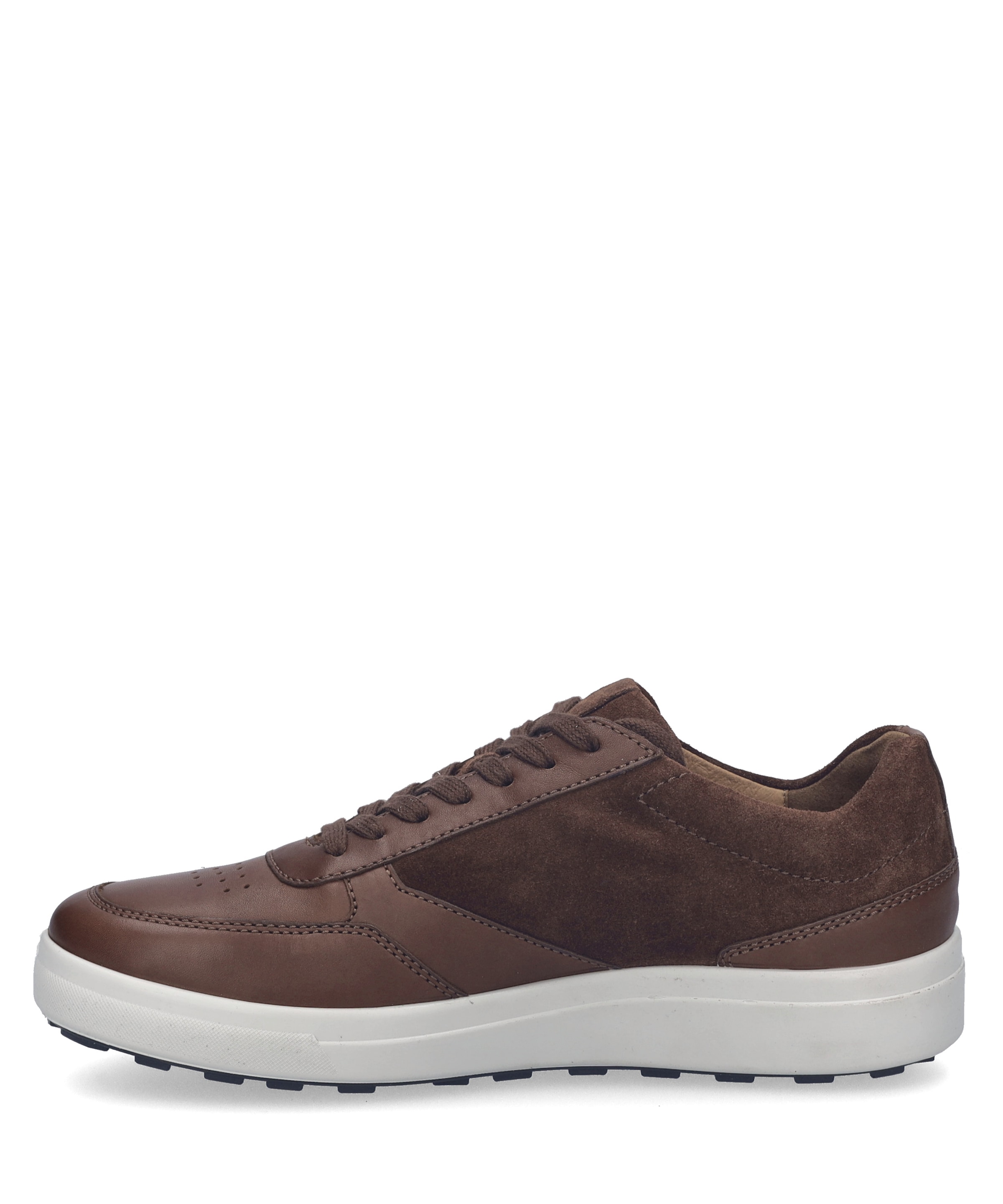Josef Seibel Sneaker »Maddox 11, castagne«