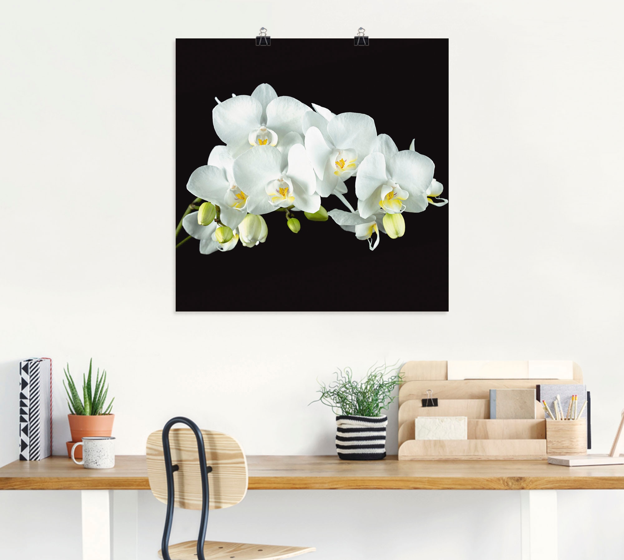 Artland Wandbild Wandaufkleber schwarzem versch. OTTO Orchidee Größen (1 Leinwandbild, als Alubild, oder St.), »Weiße auf Blumen, Poster online in bei Hintergrund«