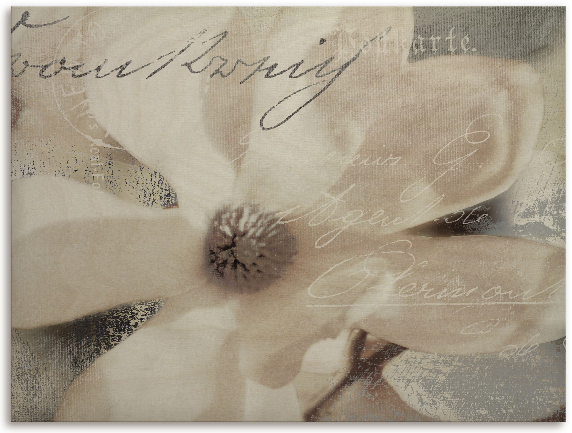 Artland Wandbild »Magnolie_Detail«, Blumenbilder, (1 St.), als Alubild,  Leinwandbild, Wandaufkleber oder Poster in versch. Größen kaufen im OTTO  Online Shop