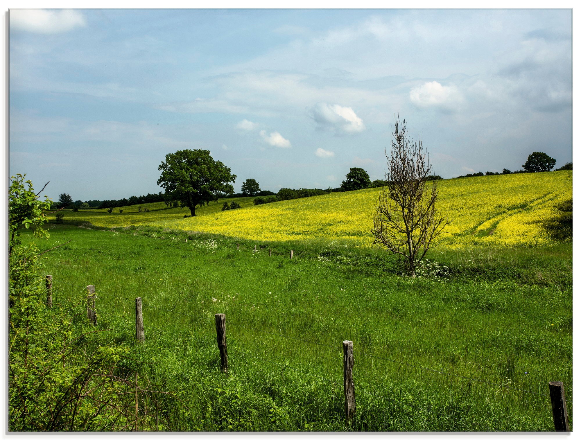 Artland Glasbild »Schönes Schleswig Holstein«, Felder, (1 St.)