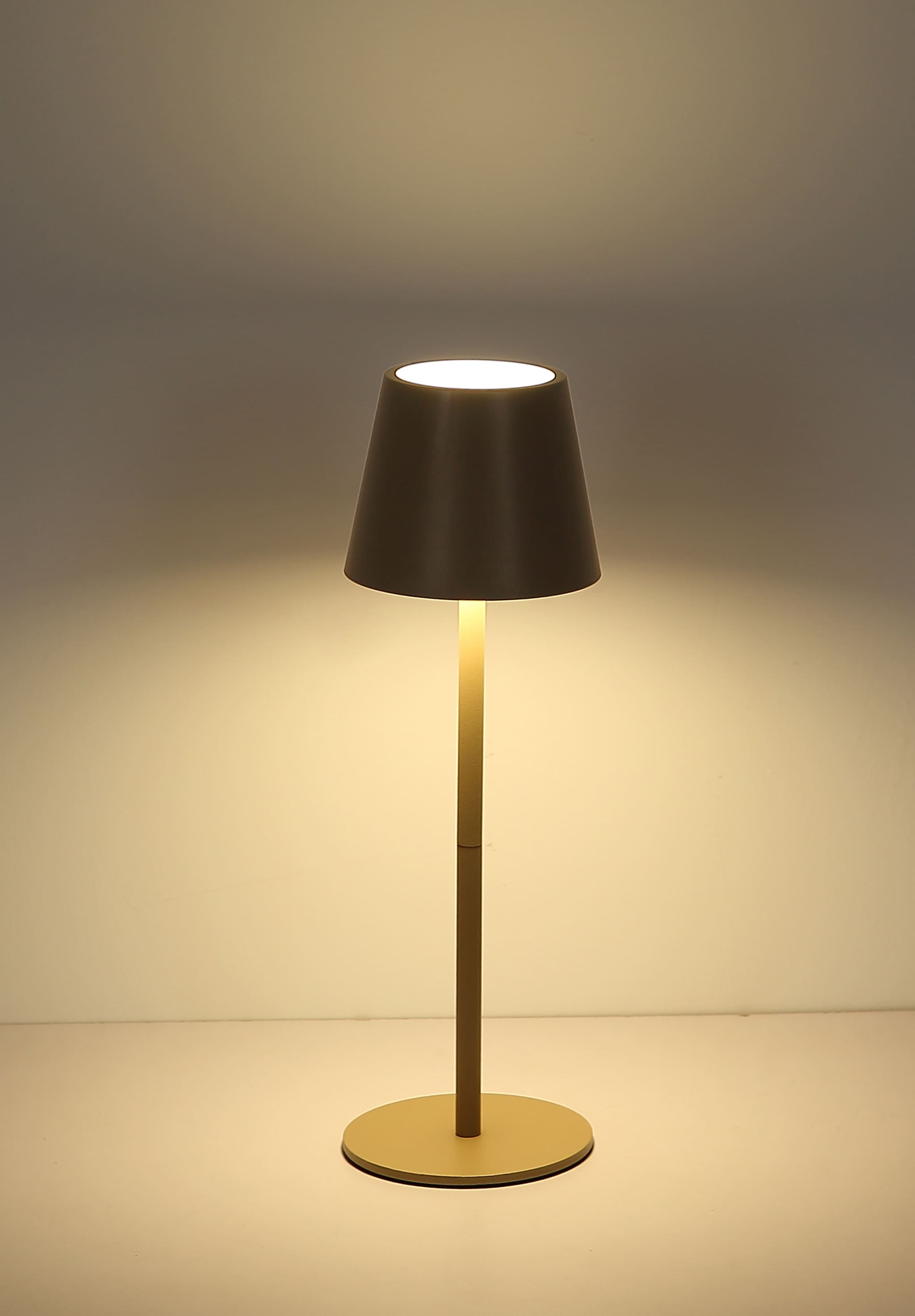 my home LED Tischleuchte »Alia Akkuleuchte« LED-Modul 1 Stk. warmweiß - kaltweiß stufenloser Touchdimmer, Farben fixierbar, USB-A 2.0 - USB-C,