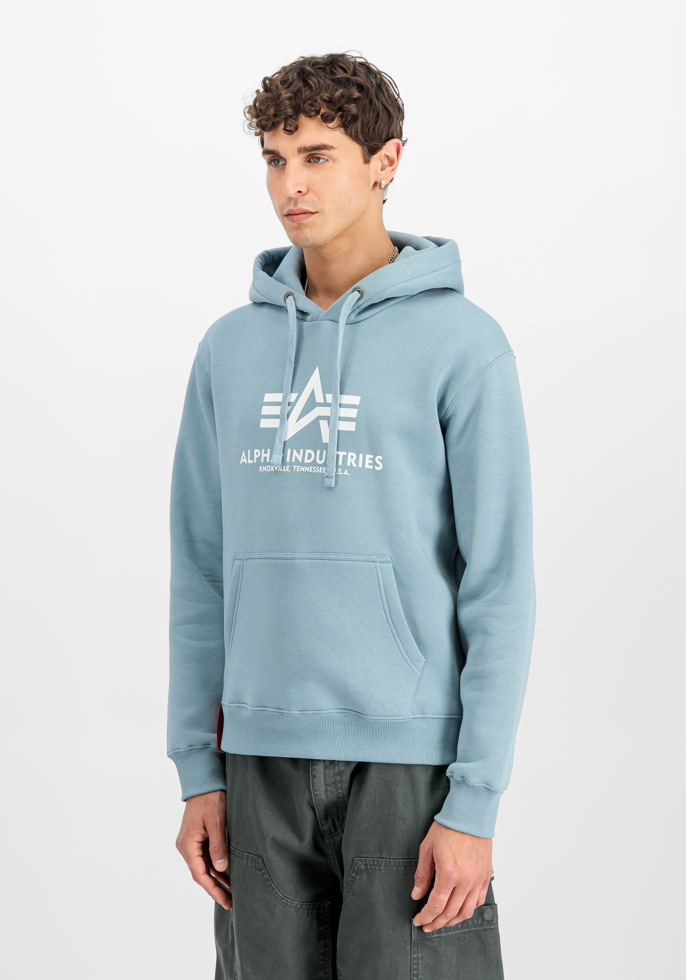 Alpha Industries Kapuzensweatshirt »Basic Hoody«, Baumwollmischung, regular fit
