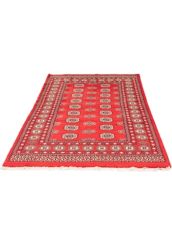 Orientteppich »Pakistan - 183 x 118 cm - rot«, rechteckig