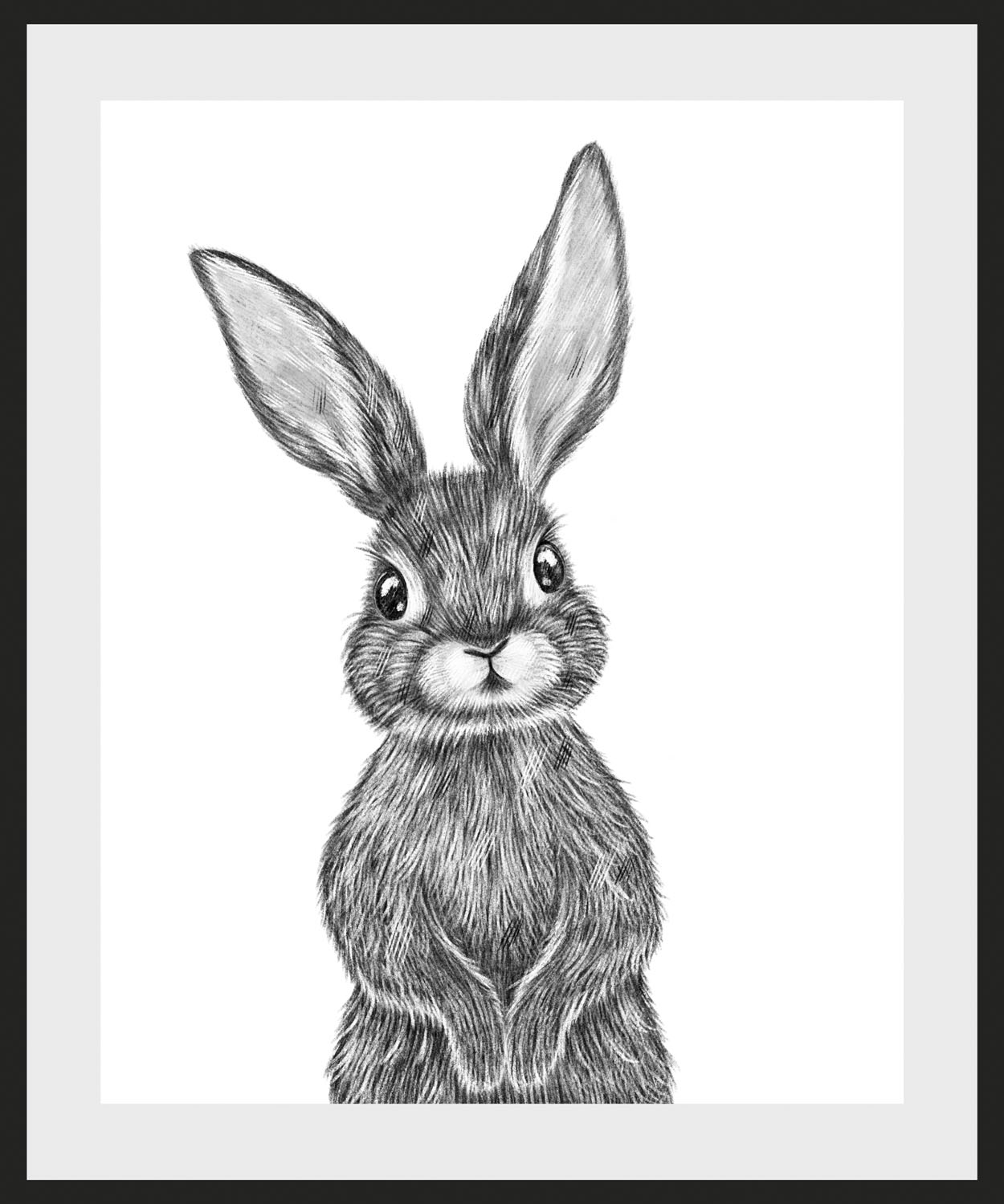 Reinders! Wandbild »Wandbild Kaninchen Hase - im Online - (1 Rabbit OTTO - Relax«, St.) Hasen, Schwanz Shop
