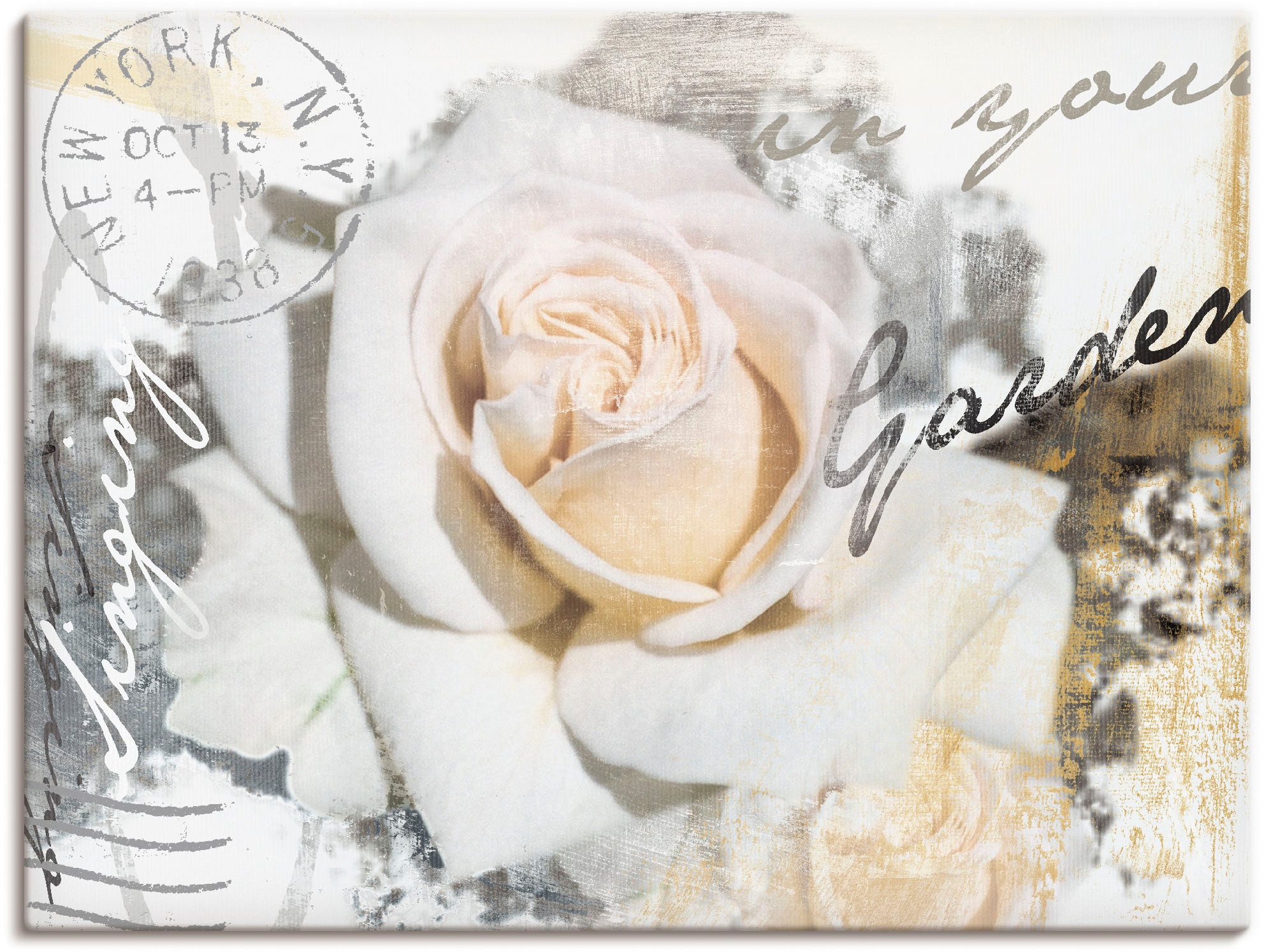 Artland Wandbild »In Buchstaben - Rose«, Blumen, (1 St.), in vielen Größen & Produktarten - Alubild / Outdoorbild für den Außenbereich, Leinwandbild, Poster, Wandaufkleber / Wandtattoo auch für Badezimmer geeignet