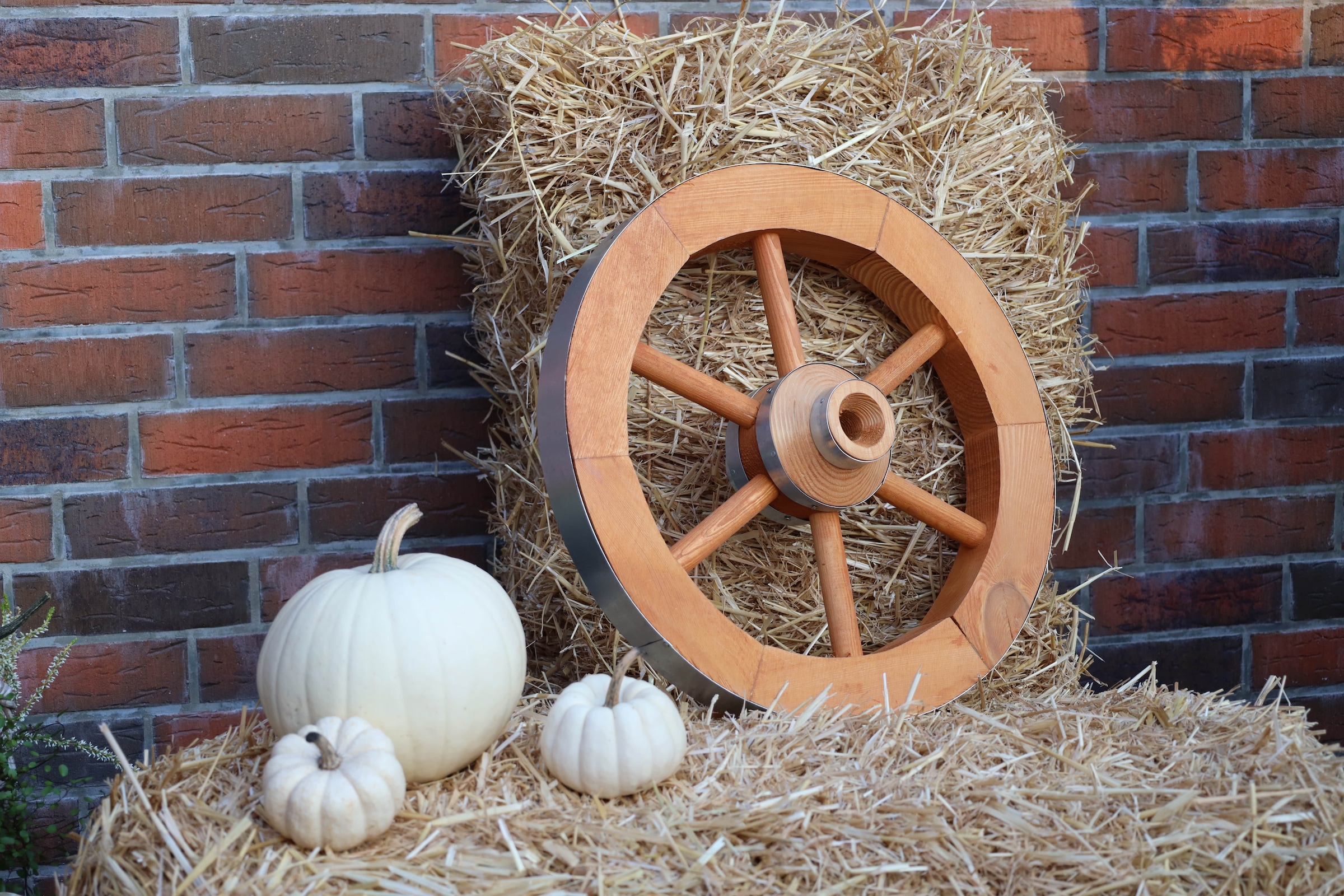 promadino Gartenfigur »Wagenrad«, BxLxH: 50x14x50 cm