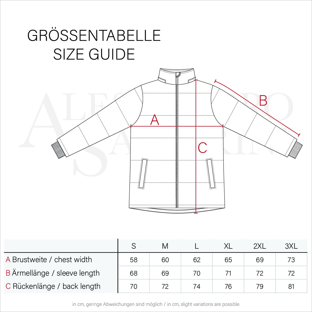 Alessandro Salvarini Winterjacke »A. Salvarini Herren Winterjacke AS282«