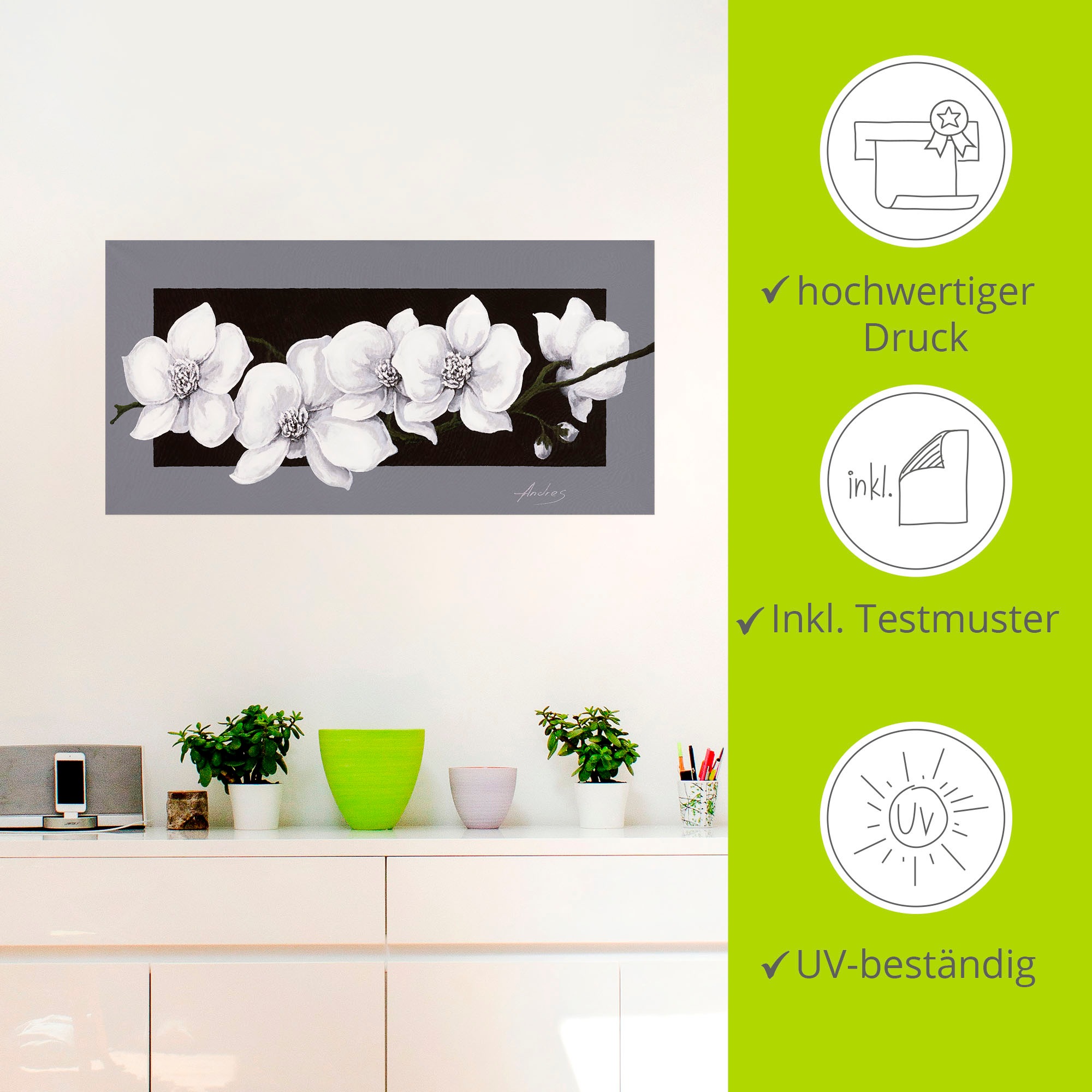 Artland Wandbild »Weiße Orchideen auf grau«, Blumen, (1 St.), als Alubild, Outdoorbild, Leinwandbild, Poster, Wandaufkleber