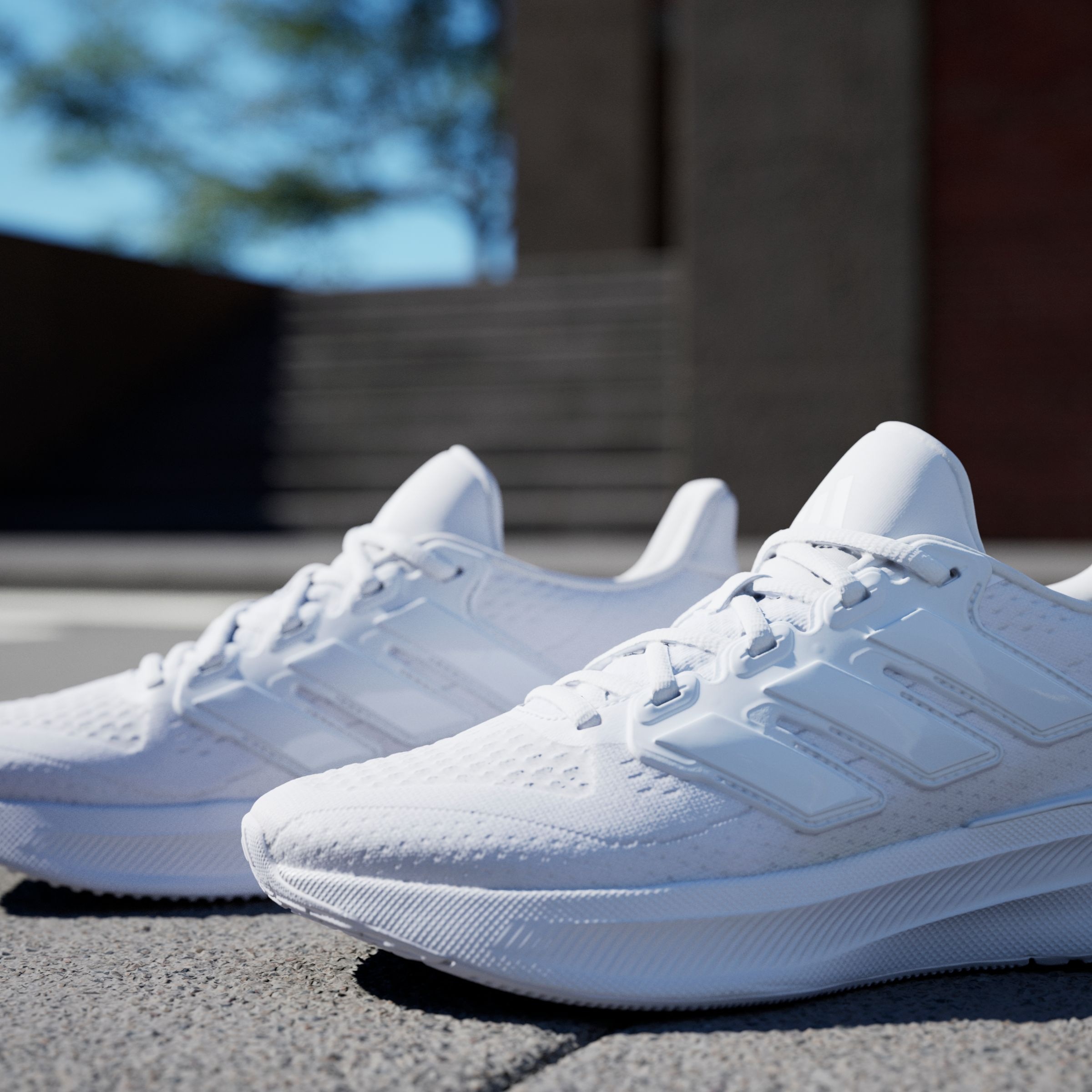 adidas Performance Laufschuh