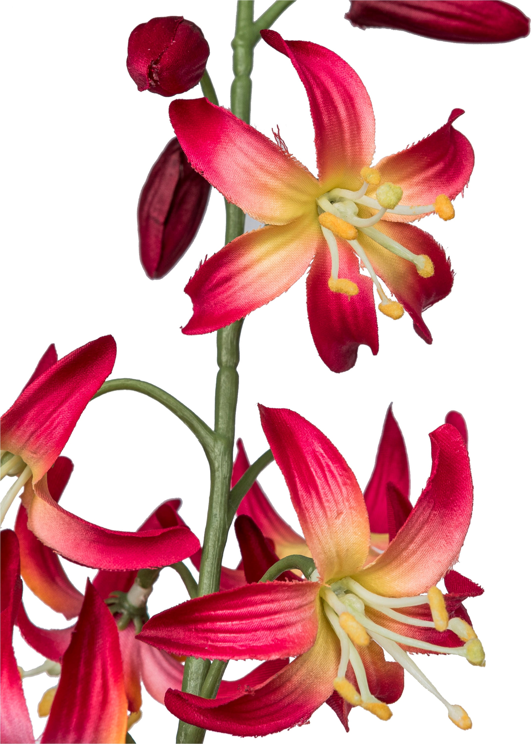 Creativ green Kunstblume »Wildlilienzweig« mit zauberhaften Blüten