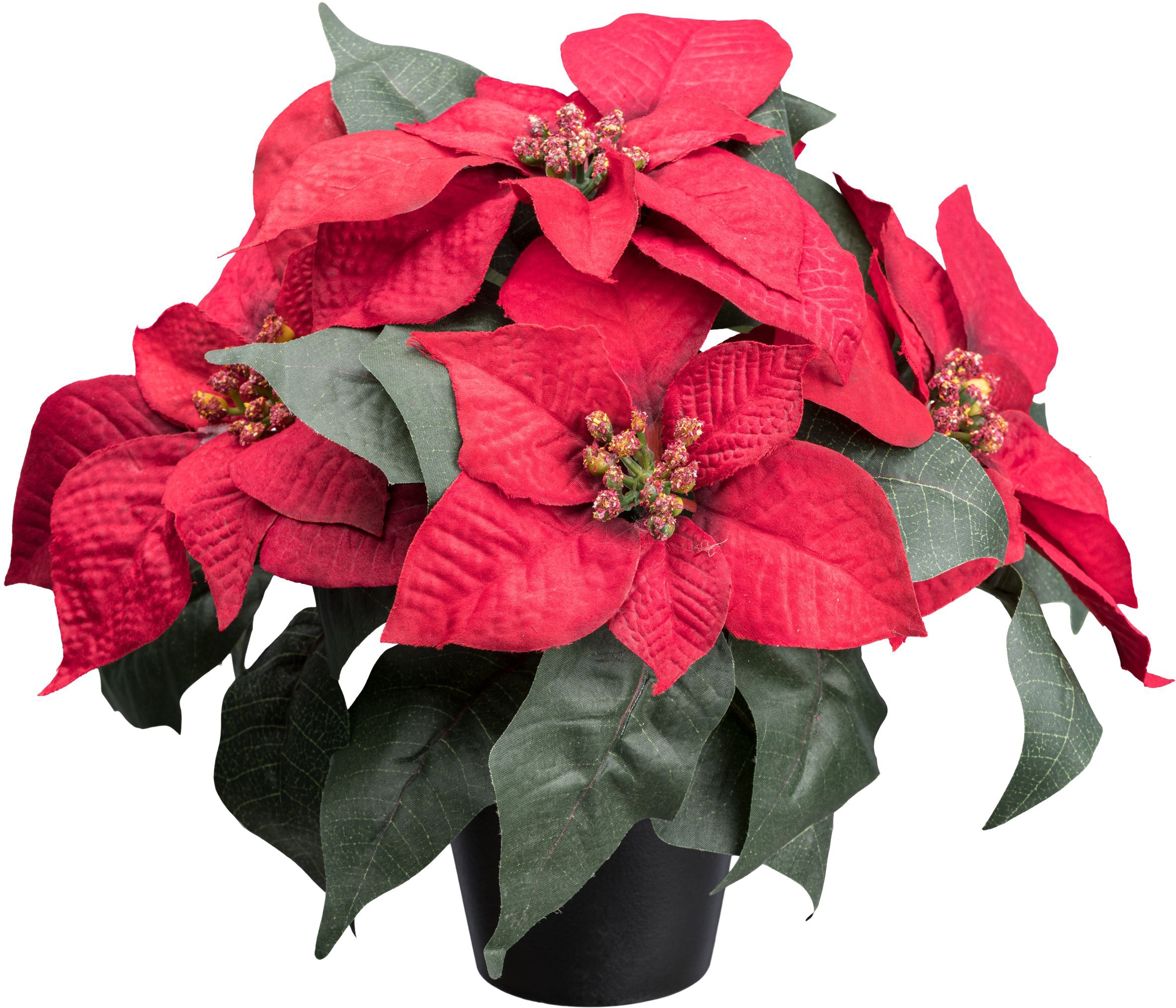 OTTO home Winterliche Kunstpflanze »Weihnachtsstern Poinsettie« mit naturgetreuen Blüten im Keramiktopf