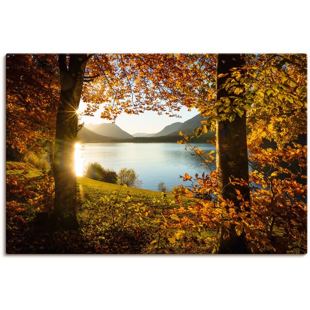 Artland Wandbild »Herbst am Sylvensteinsee«, Gewässer, (1 St.), als  Alubild, Leinwandbild, Wandaufkleber oder Poster in versch. Größen  bestellen im OTTO Online Shop