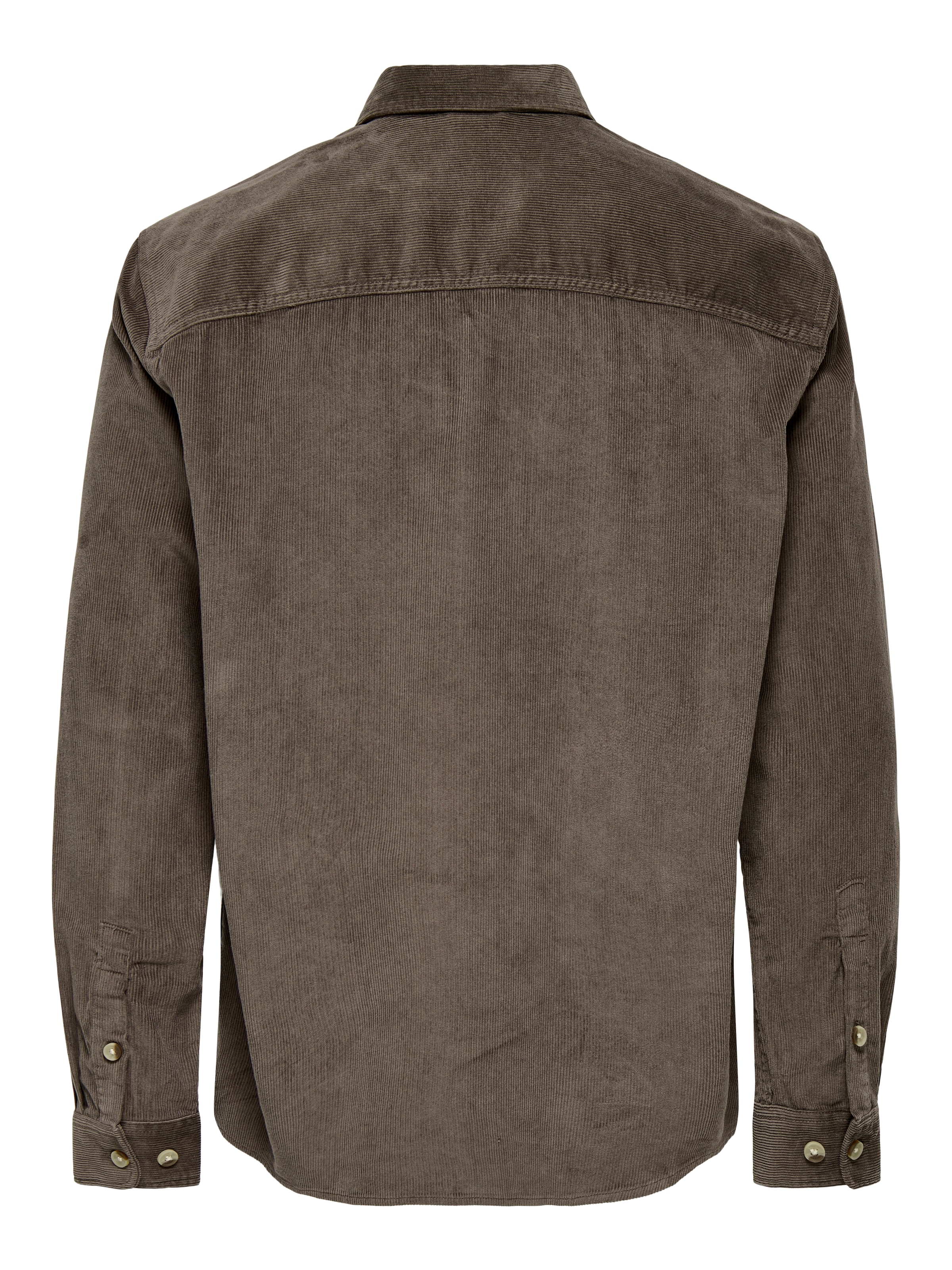 ONLY & SONS Langarmhemd »OS ONSALP RLX 2PKT WASHD COR«