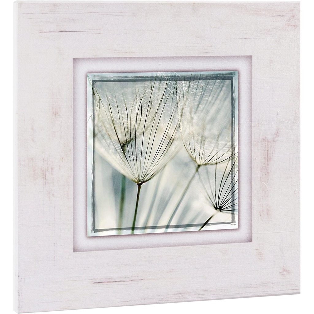 Home affaire Holzbild »Pusteblume nah«, 40/40 cm