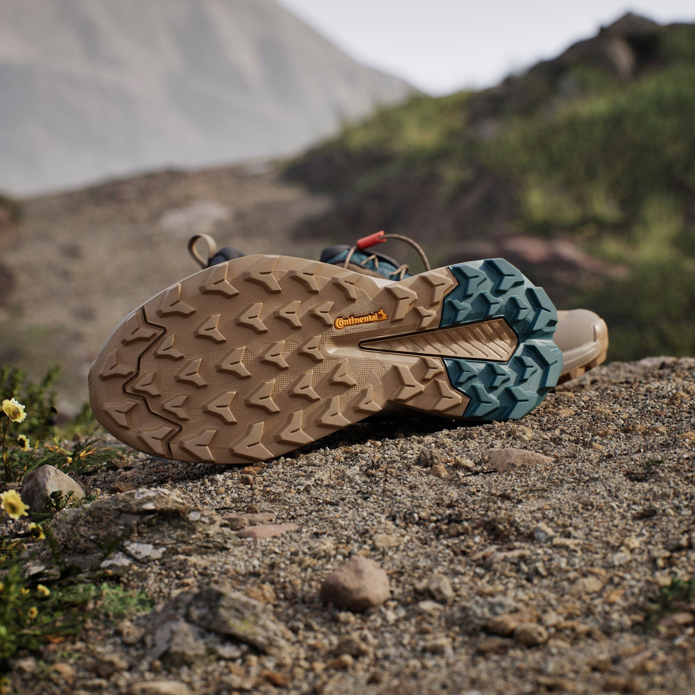 adidas TERREX Wanderschuh »TERREX TRAILMAKER 2 GORE-TEX SPEED LACE«, wasserdicht