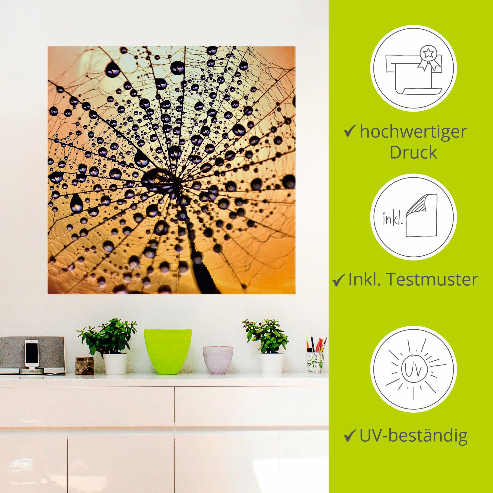 Artland Wandbild »Pusteblume Tröpfchenfang«, Blumen, (1 St.), als Leinwandbild, Wandaufkleber in verschied. Größen
