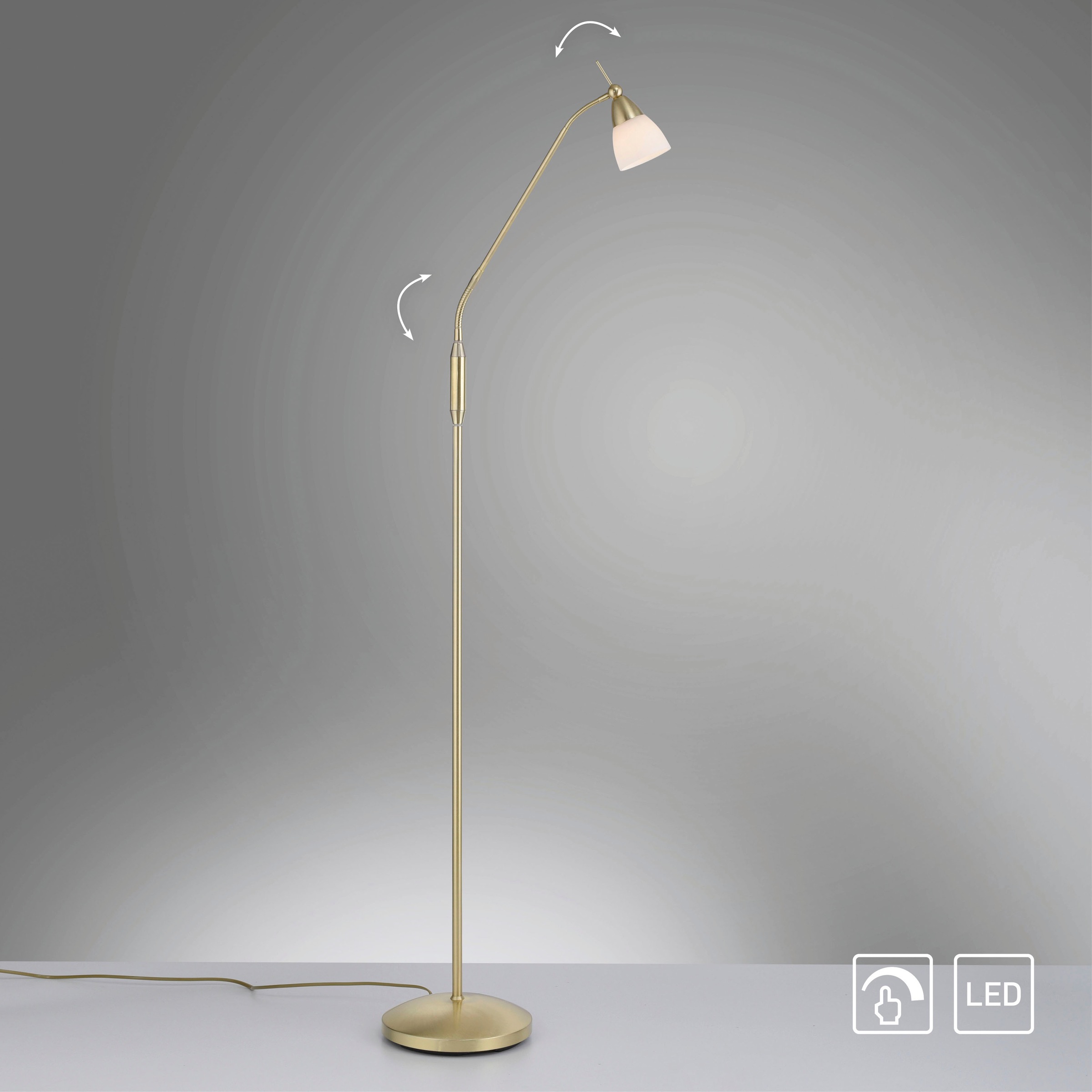 Paul Neuhaus Stehlampe »PINO«, 1 flammig, Leuchtmittel G9 | LED wechselbar