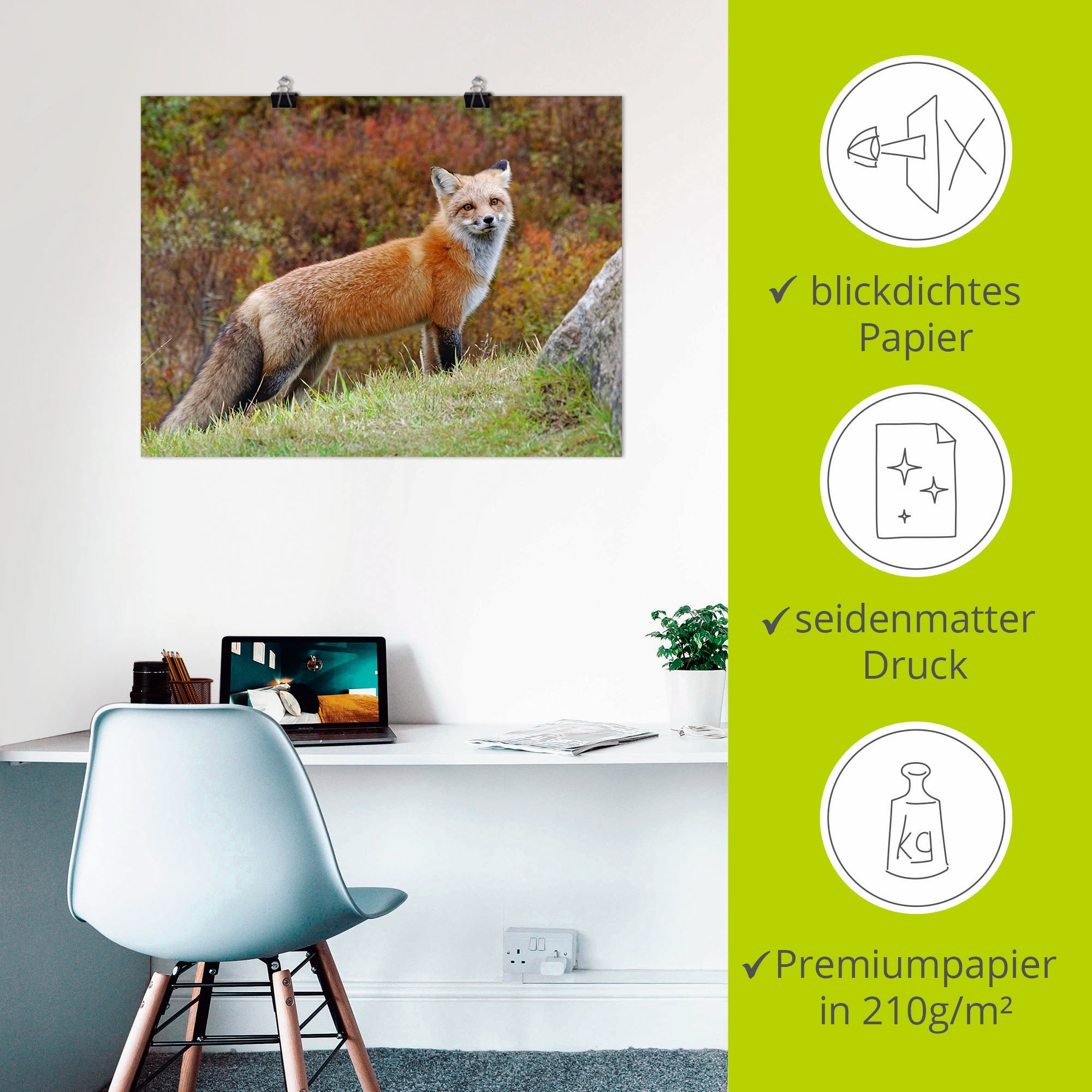 Artland Wandbild »Fuchs I«, Wildtiere, (1 St.), als Leinwandbild, Poster in verschied. Größen