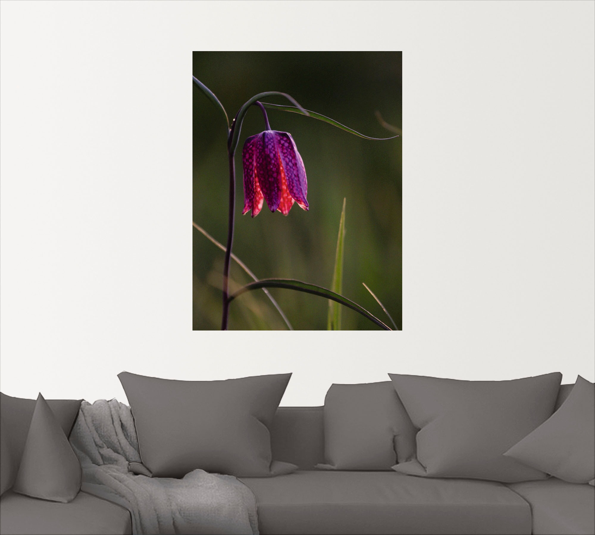 Artland Wandbild »Leuchtende Schachbrettblume«, Blumen, (1 St.), als Alubild, Leinwandbild, Wandaufkleber oder Poster in versch. Größen