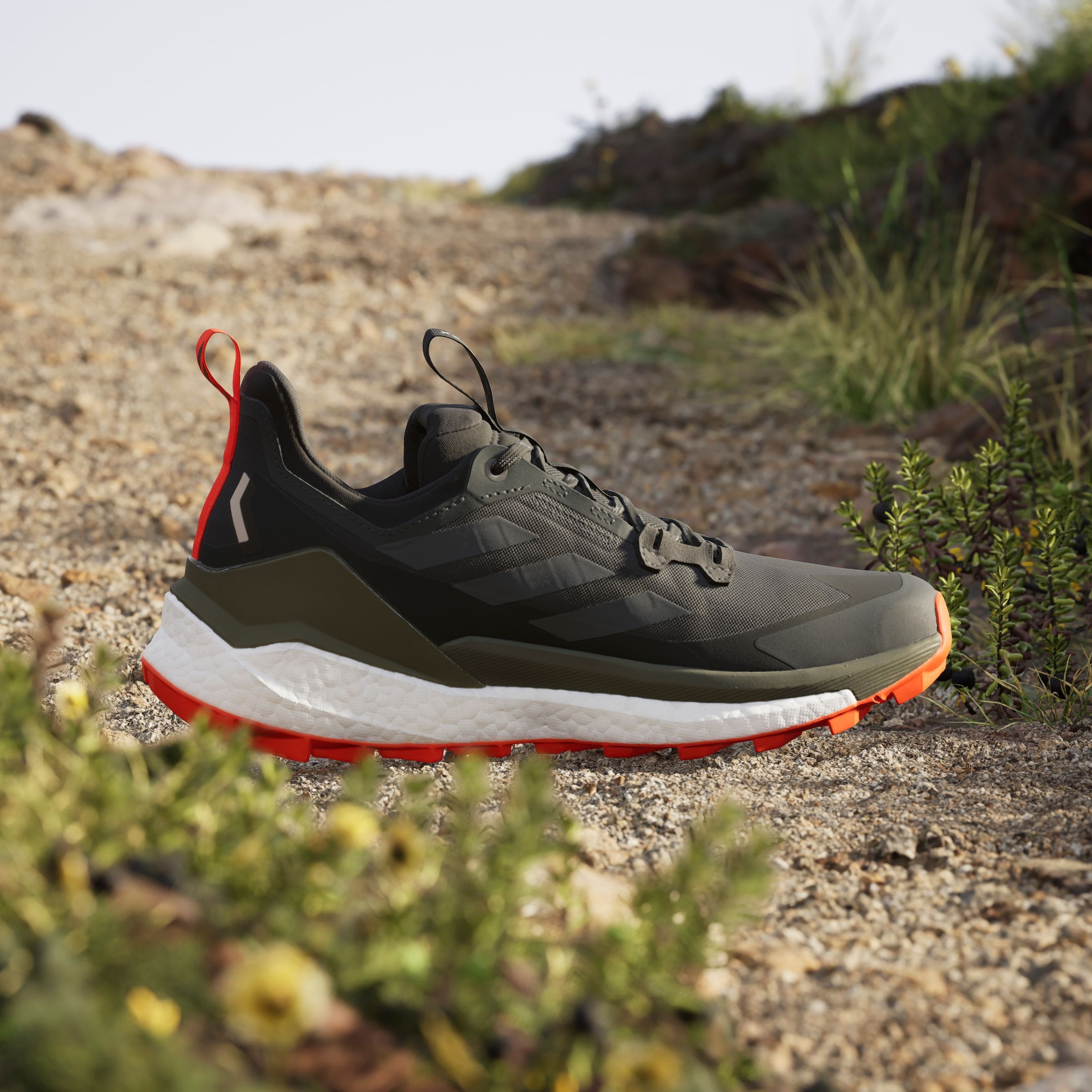 adidas TERREX Wanderschuh »TERREX FREE HIKER 2.0 LOW«