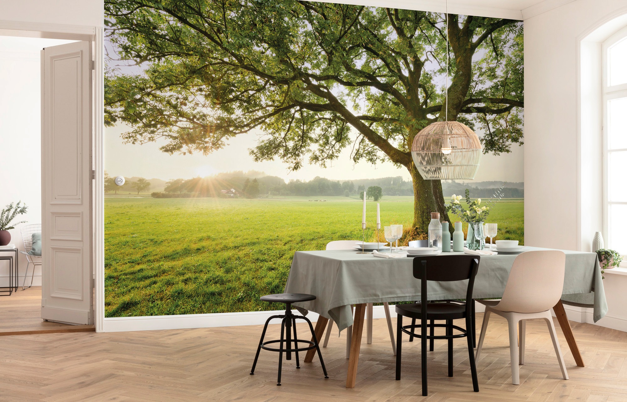 Komar Vliestapete »Digitaldruck Vlies - The Magic Tree - Größe 450 x 280 cm«, bedruckt, Wohnzimmer, Schlafzimmer