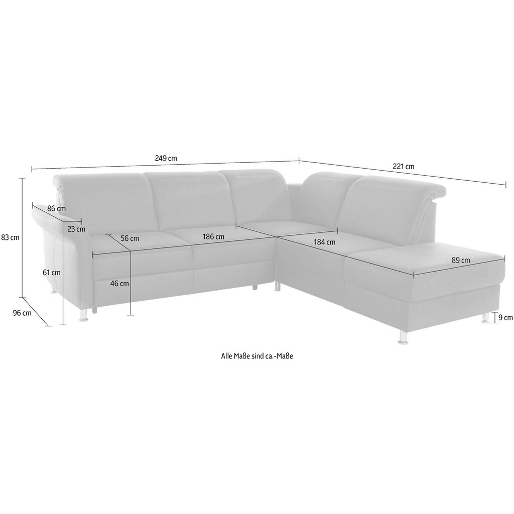 sit&more Ecksofa »Darwin«