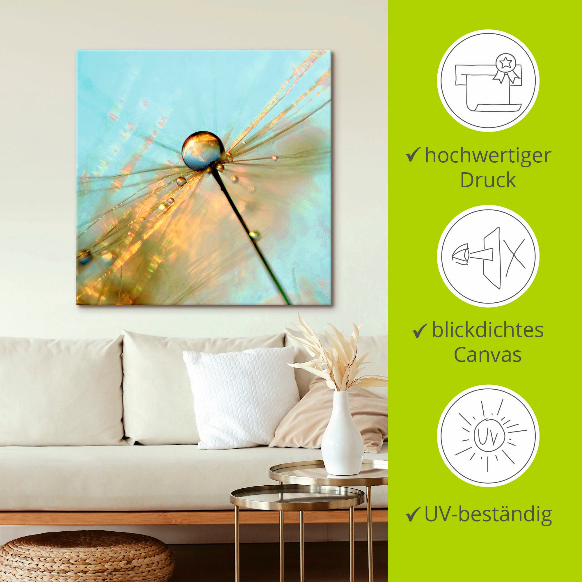 Artland Leinwandbild »Pusteblume Tautropfen II«, Blumen, (1 St.), auf Keilrahmen gespannt
