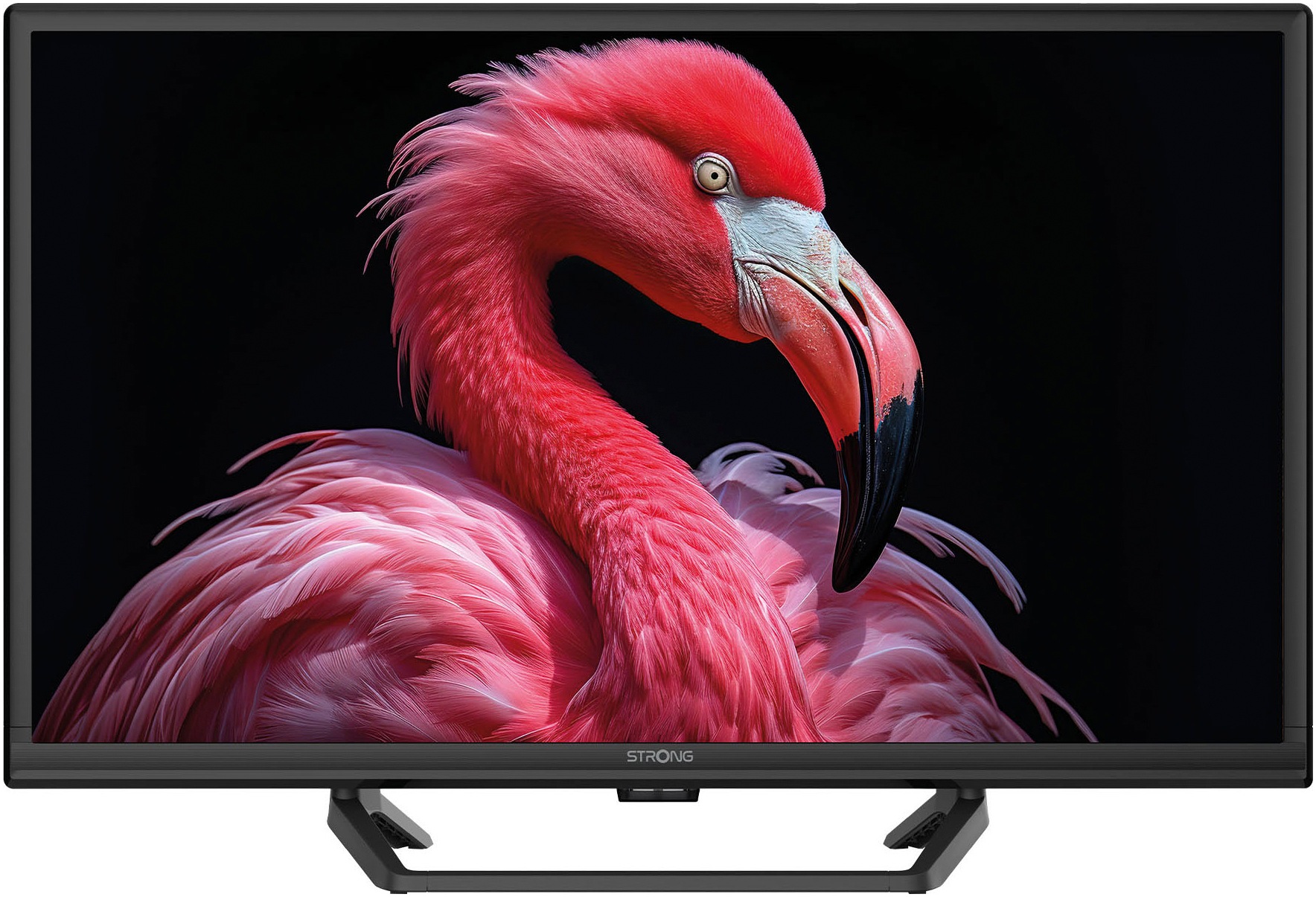 Strong LED-Fernseher »SRT 24HG4723C«, HD, Smart-TV-Google TV, Video-Streaming: Netflix, Youtube, Amazon Prime Video, Disney+