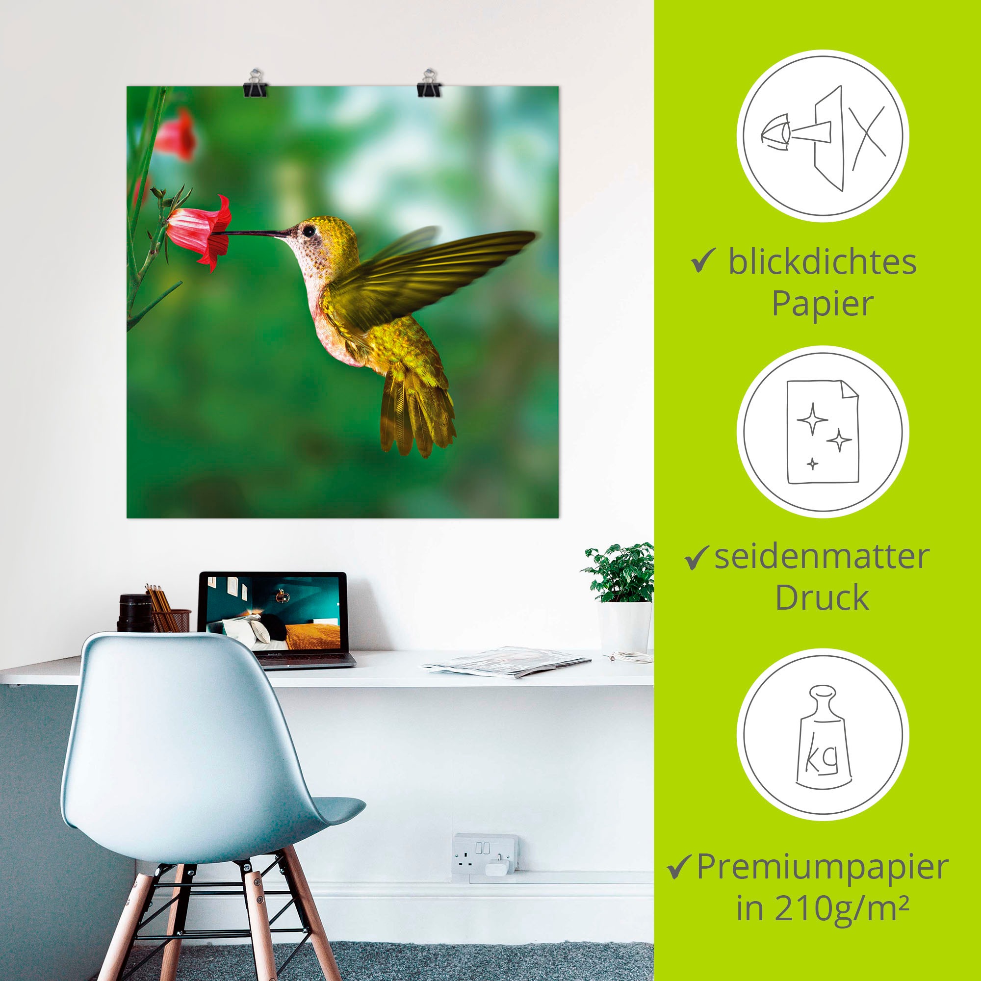 Artland Wandbild »Kolibri«, Vögel, (1 St.), als Alubild, Outdoorbild, Leinwandbild, Poster in verschied. Größen