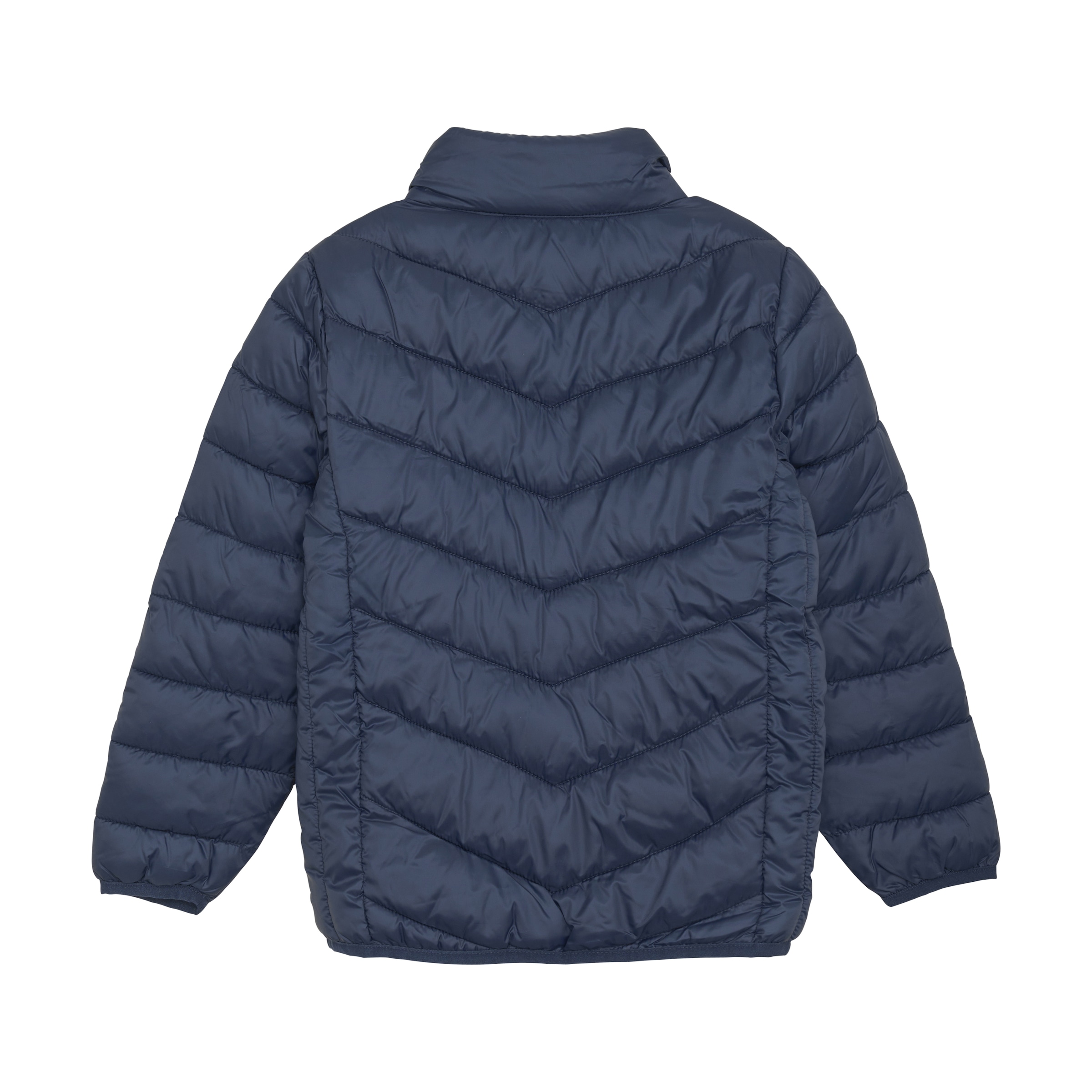 COLOR KIDS Steppjacke »Steppjacke COJacket«