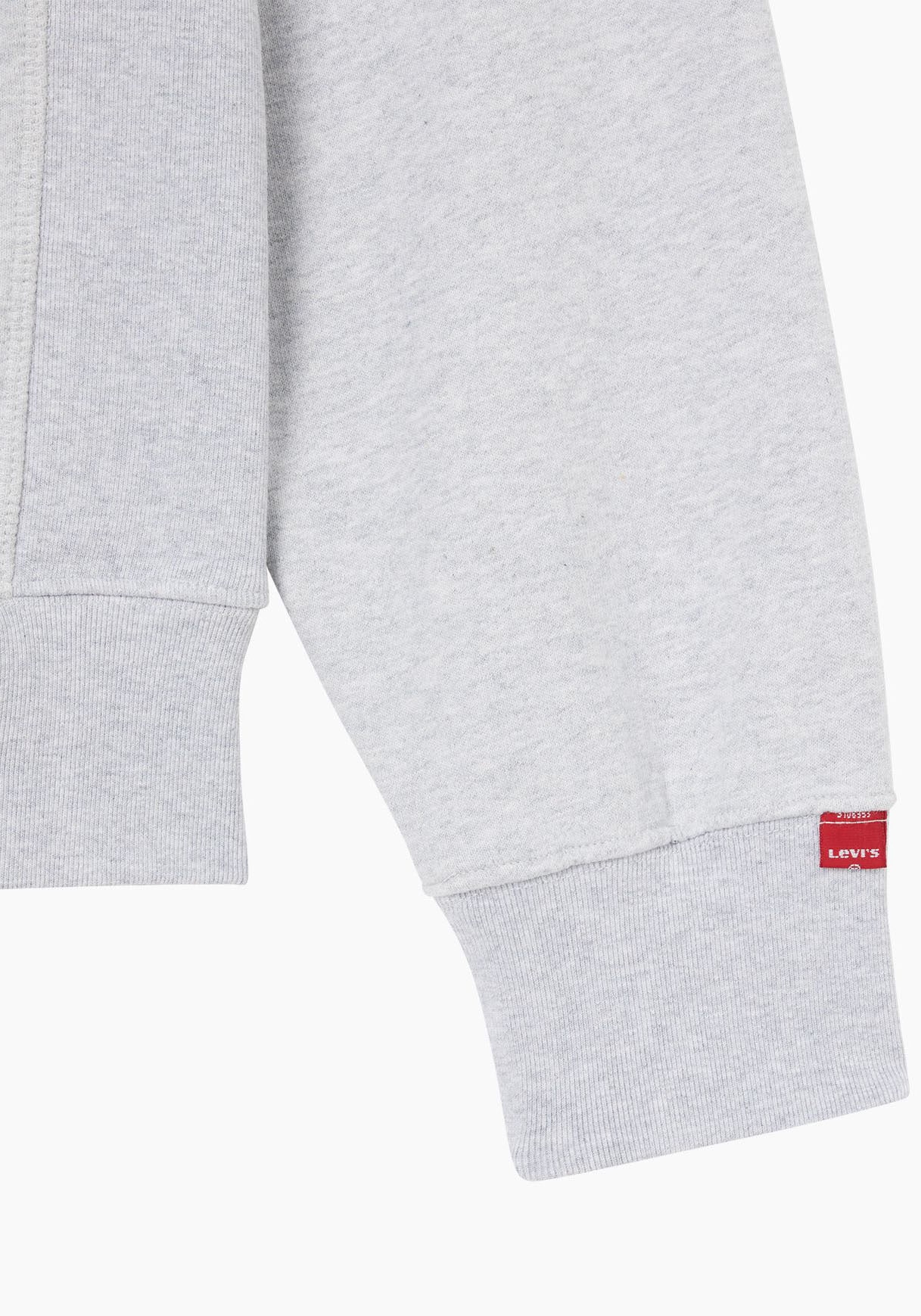 Levi's® Hoodie »THE AUTHENTIC HOODIE«, mit kleiner Ton-in-Ton Logostickerei auf der Brust