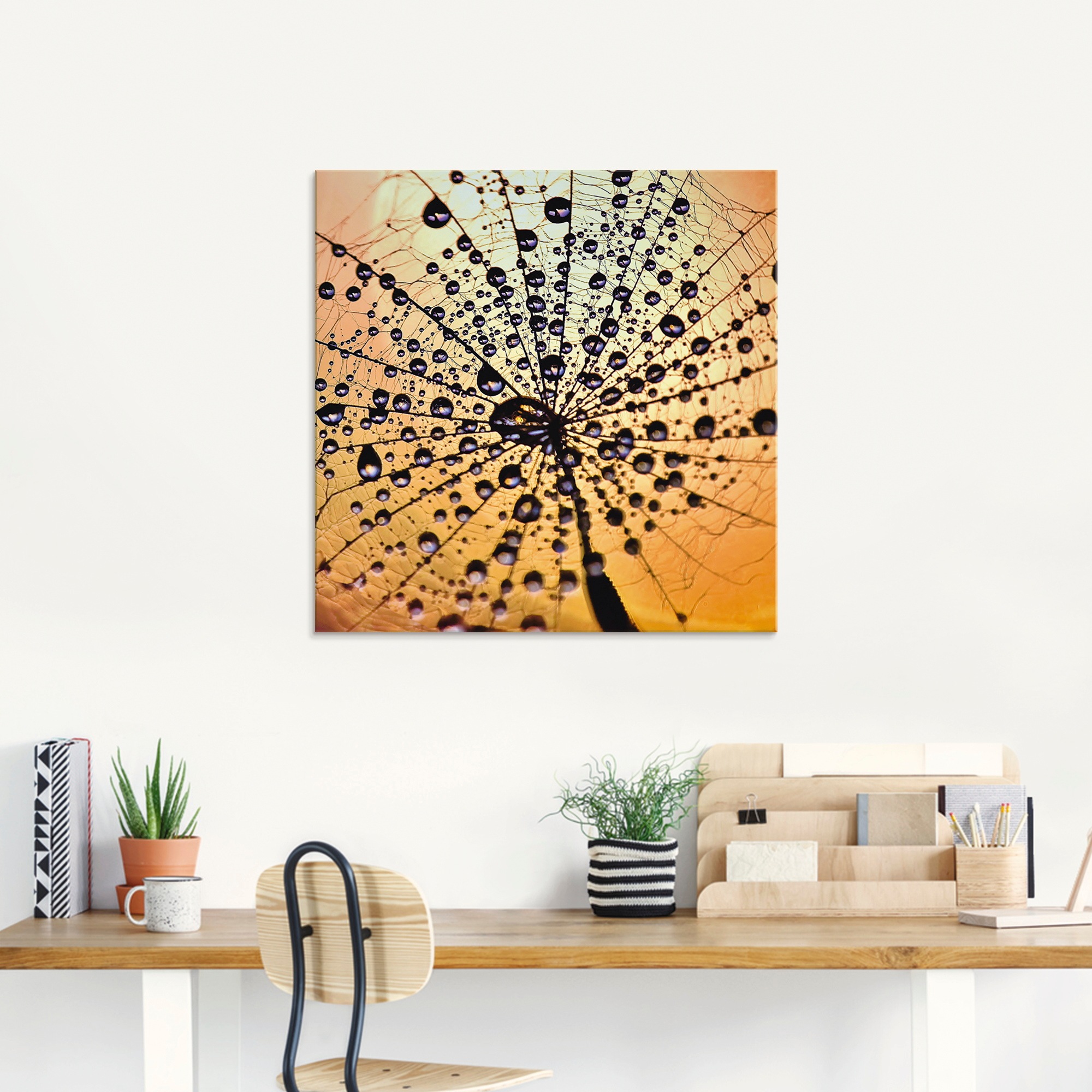 Artland Glasbild »Pusteblume Tröpfchenfang«, Blumen, (1 St.), in verschiedenen Größen