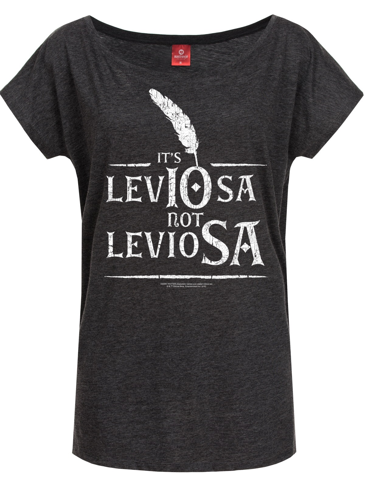 Warner T-Shirt »Harry Potter Leviosa«
