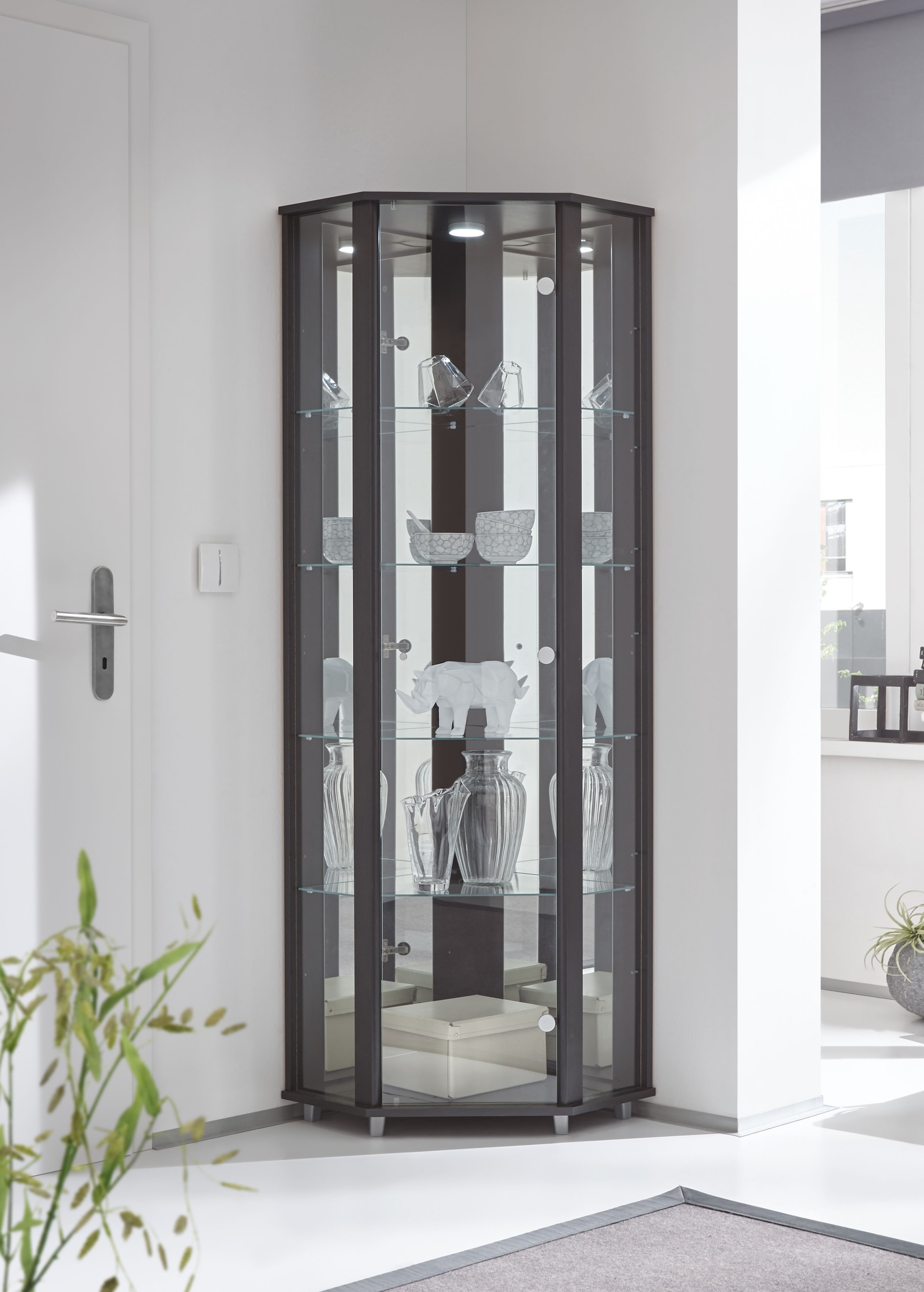 fif möbel Eckvitrine »TRIO Höhe ca. 172 cm, ink. Beleuchtung« Eckvitrine/Glasvitrine 1x Glastür, perfekt für Sammler, Sammlervitrine