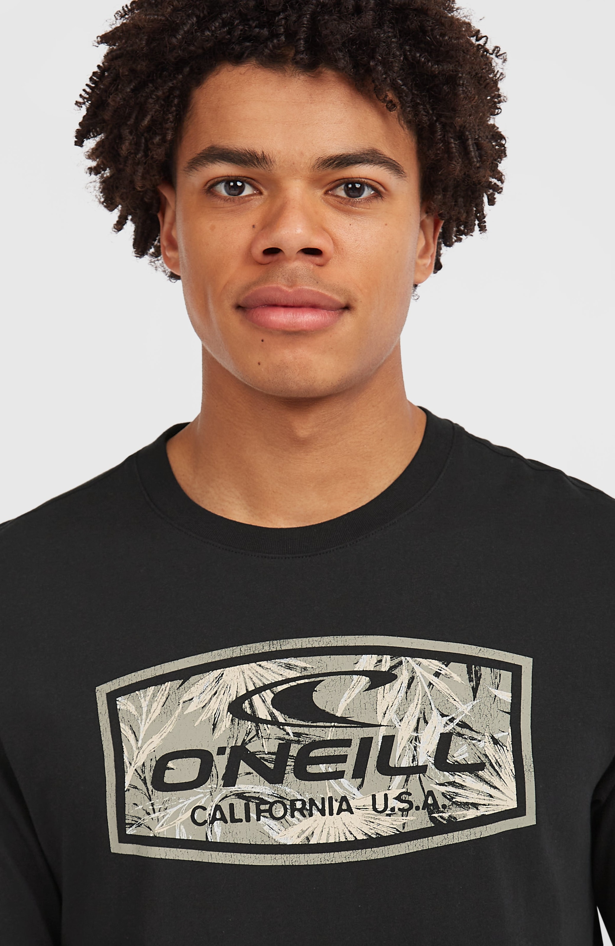 O'Neill T-Shirt »O'NEILL GRAPHIC T-SHIRT«, (1 tlg.)
