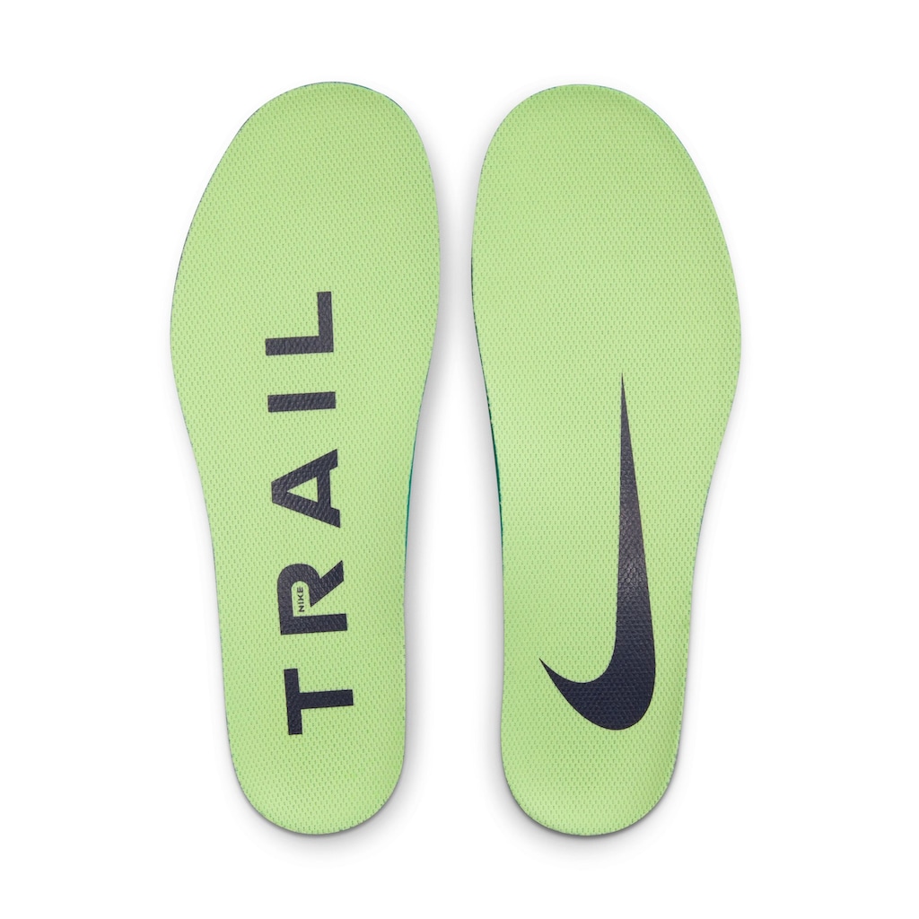 Nike Laufschuh »Pegasus Trail 4 GORE-TEX«