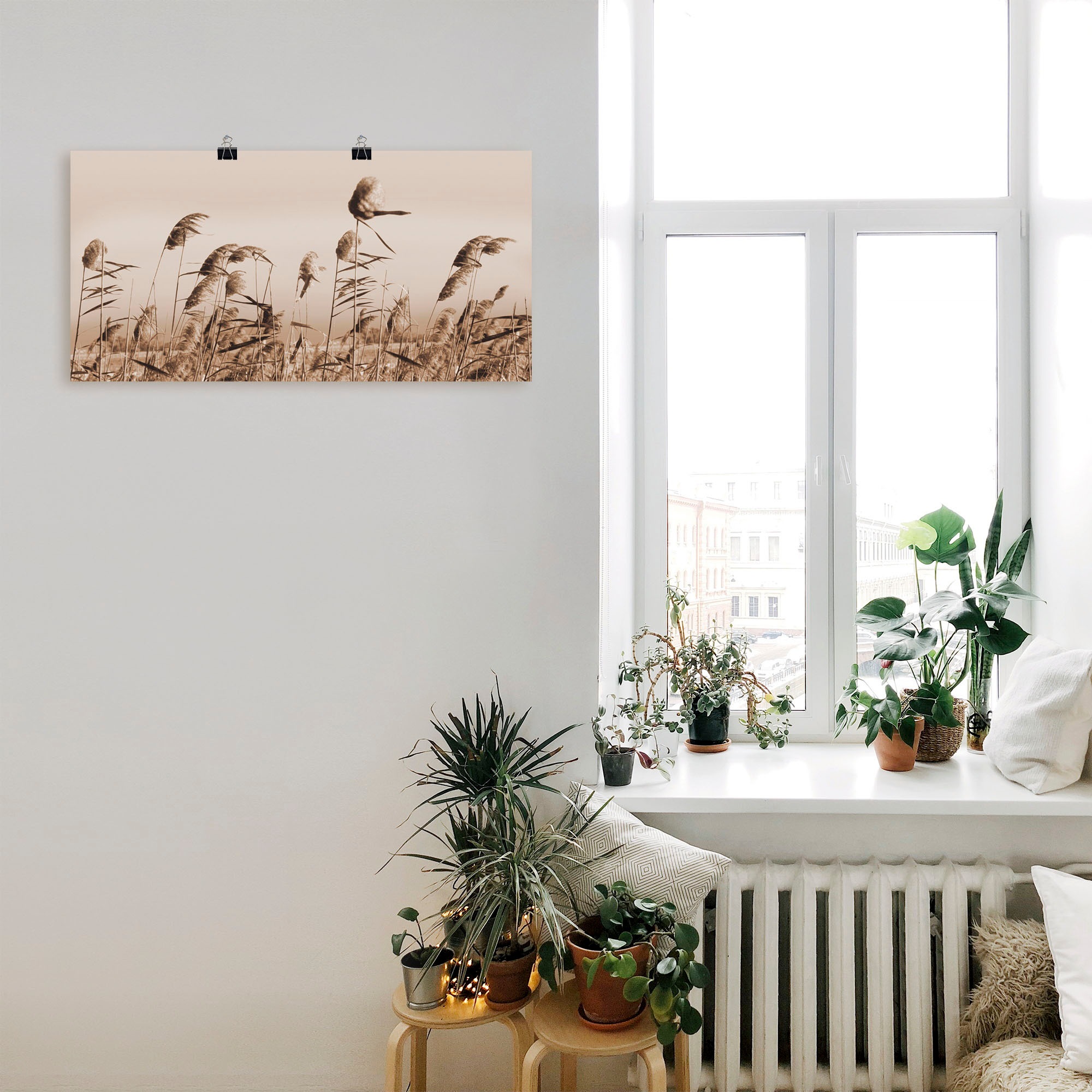 Artland Wandbild »Gräser«, Gräser, (1 St.), als Alubild, Outdoorbild, Leinwandbild, Poster, Wandaufkleber