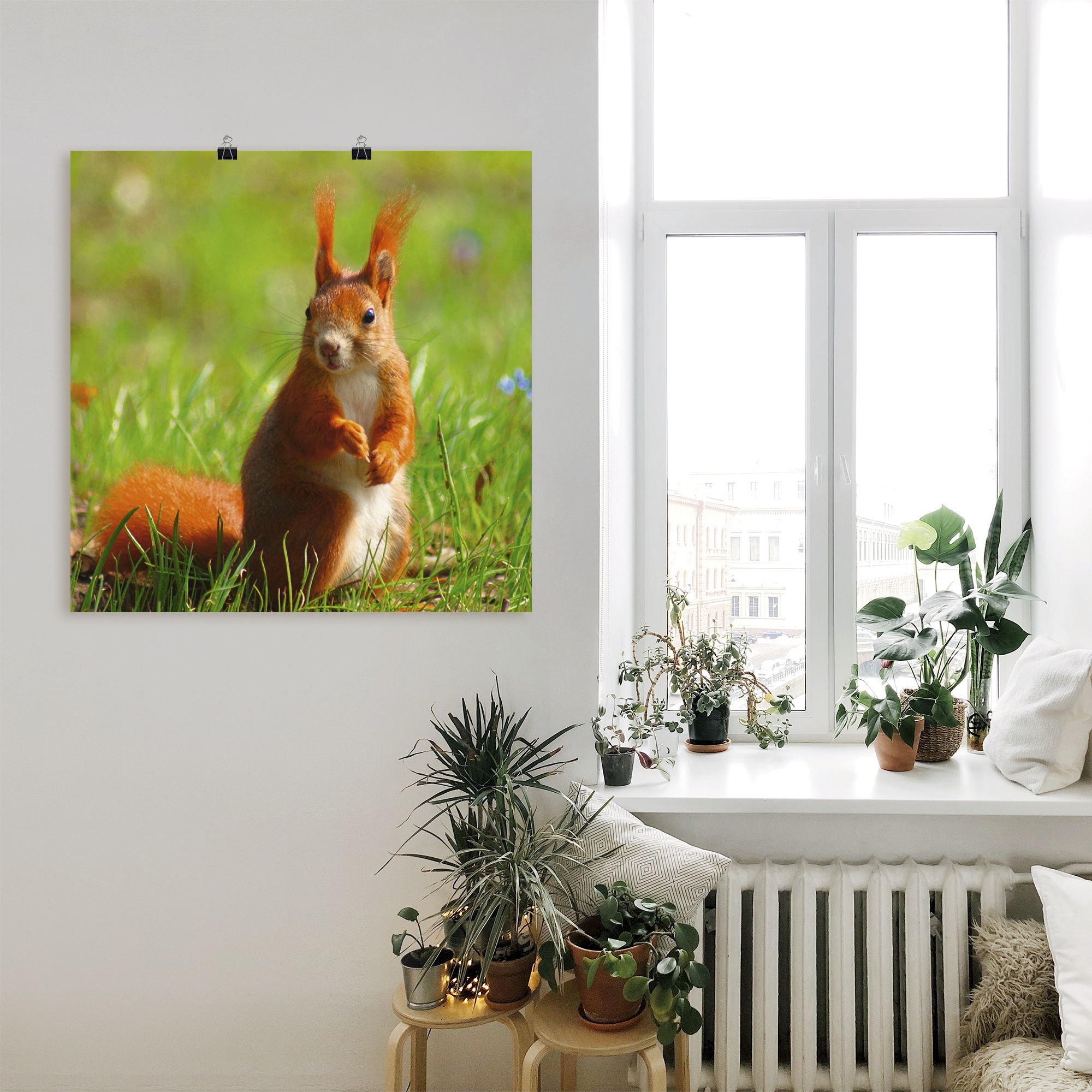 Artland Poster »Eichhörnchen Kontakt«, Wildtiere, (1 St.), als Leinwandbild, Wandaufkleber oder Poster in versch. Größen