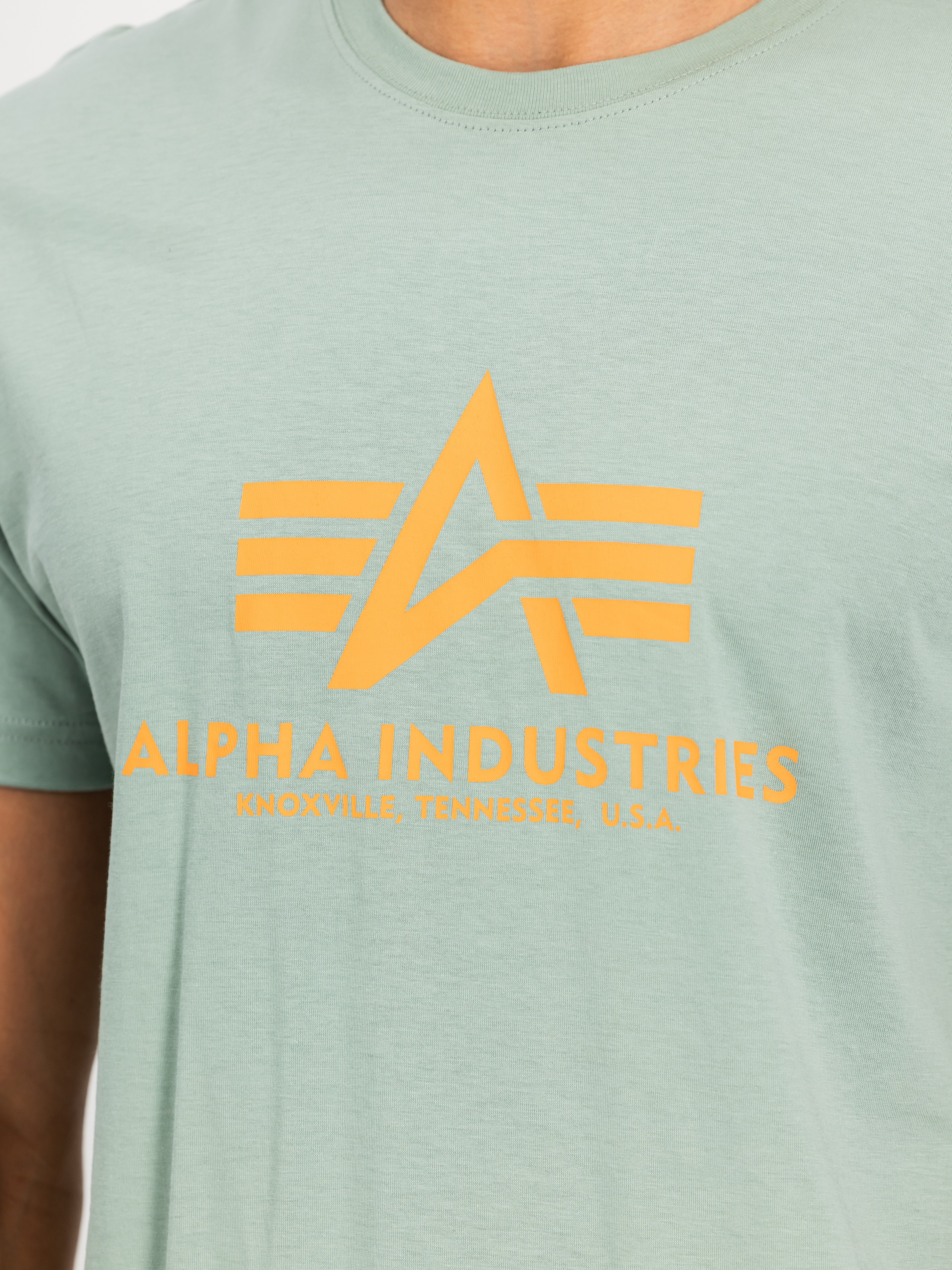 Alpha Industries T-Shirt »Basic T-Shirt« Baumwolle, regular fit