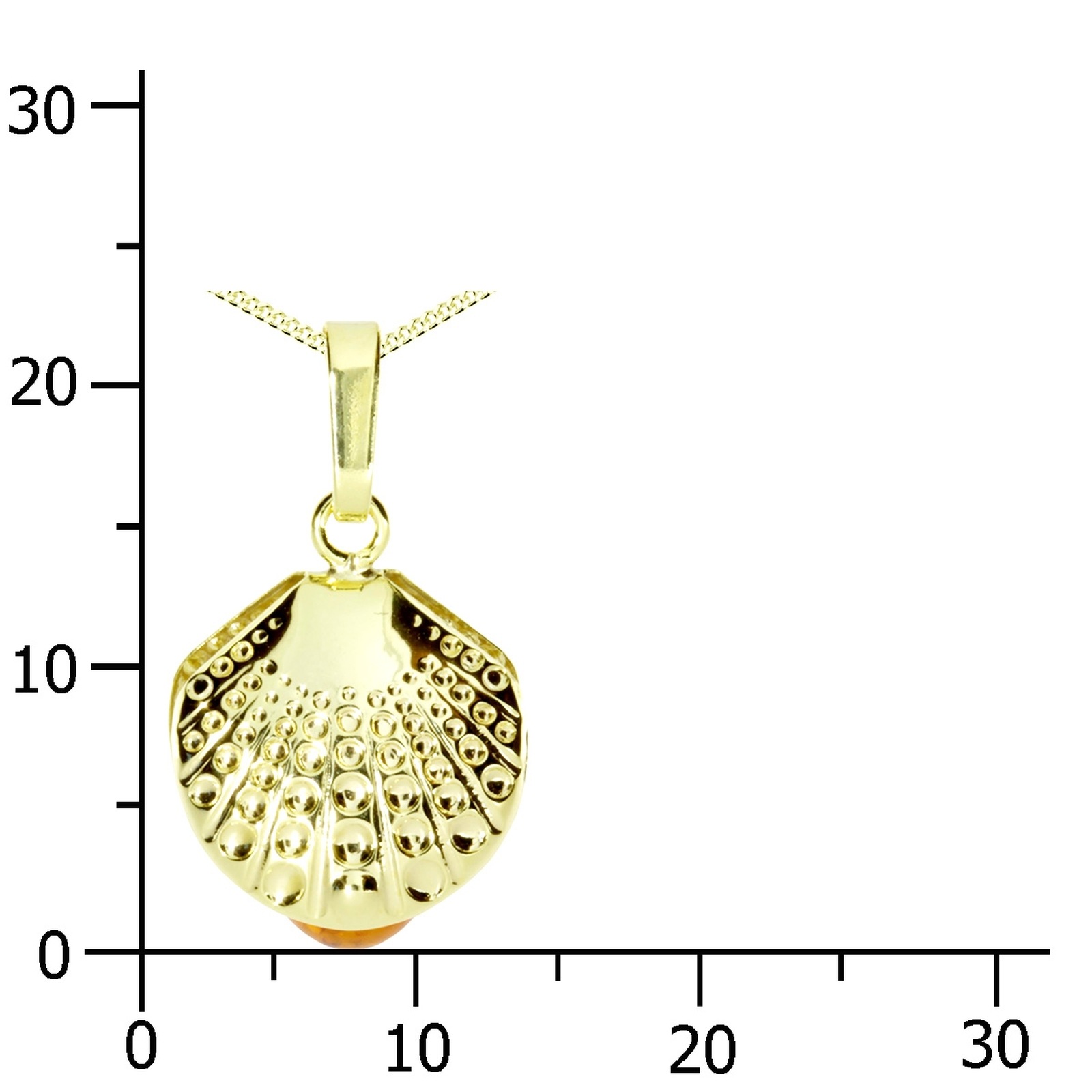 OSTSEE-SCHMUCK Kette und Anhänger Set »- Muschel - Gold 333/000 - Bernstein« ()