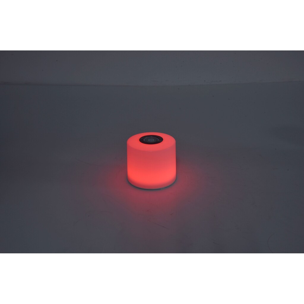 LUTEC Smarte LED-Leuchte »NOMA«, 1 flammig-flammig
