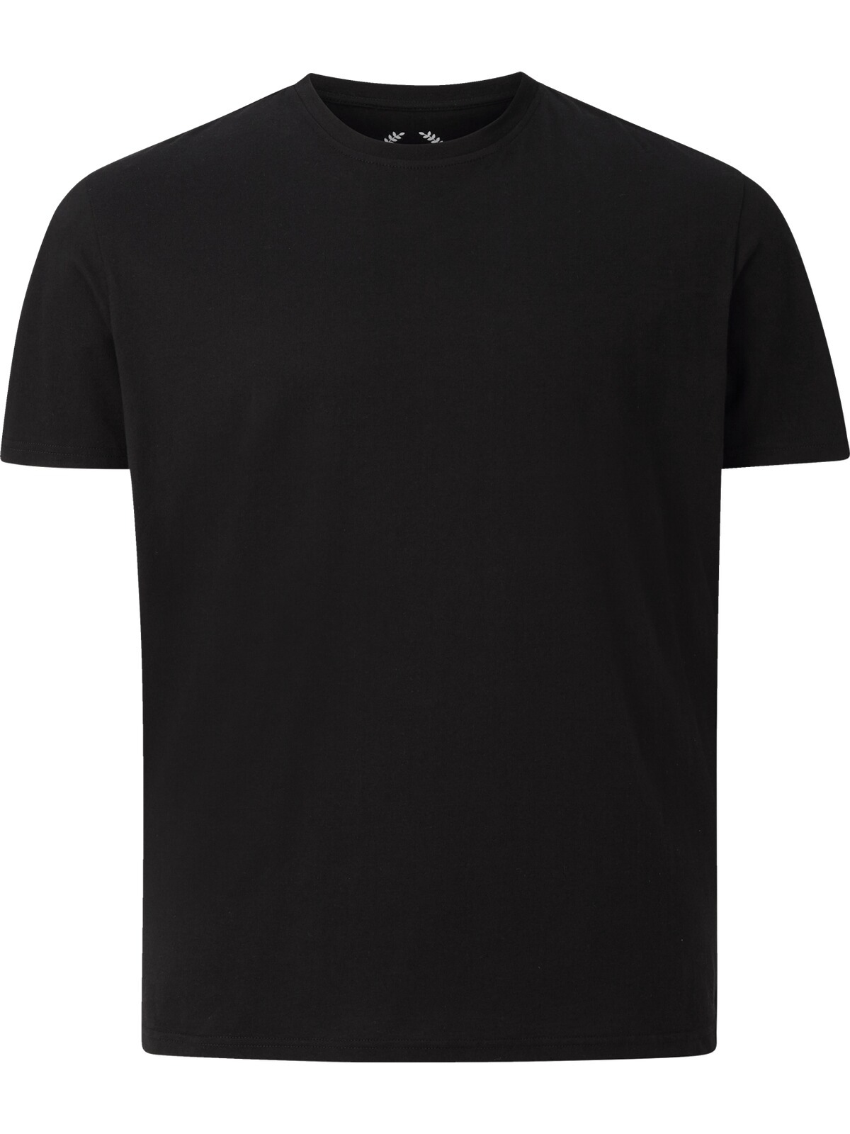 Charles Colby Rundhalsshirt »Doppelpack T-Shirt EARL BOON«, (2 tlg.), leger und schlicht (2er-Pack)