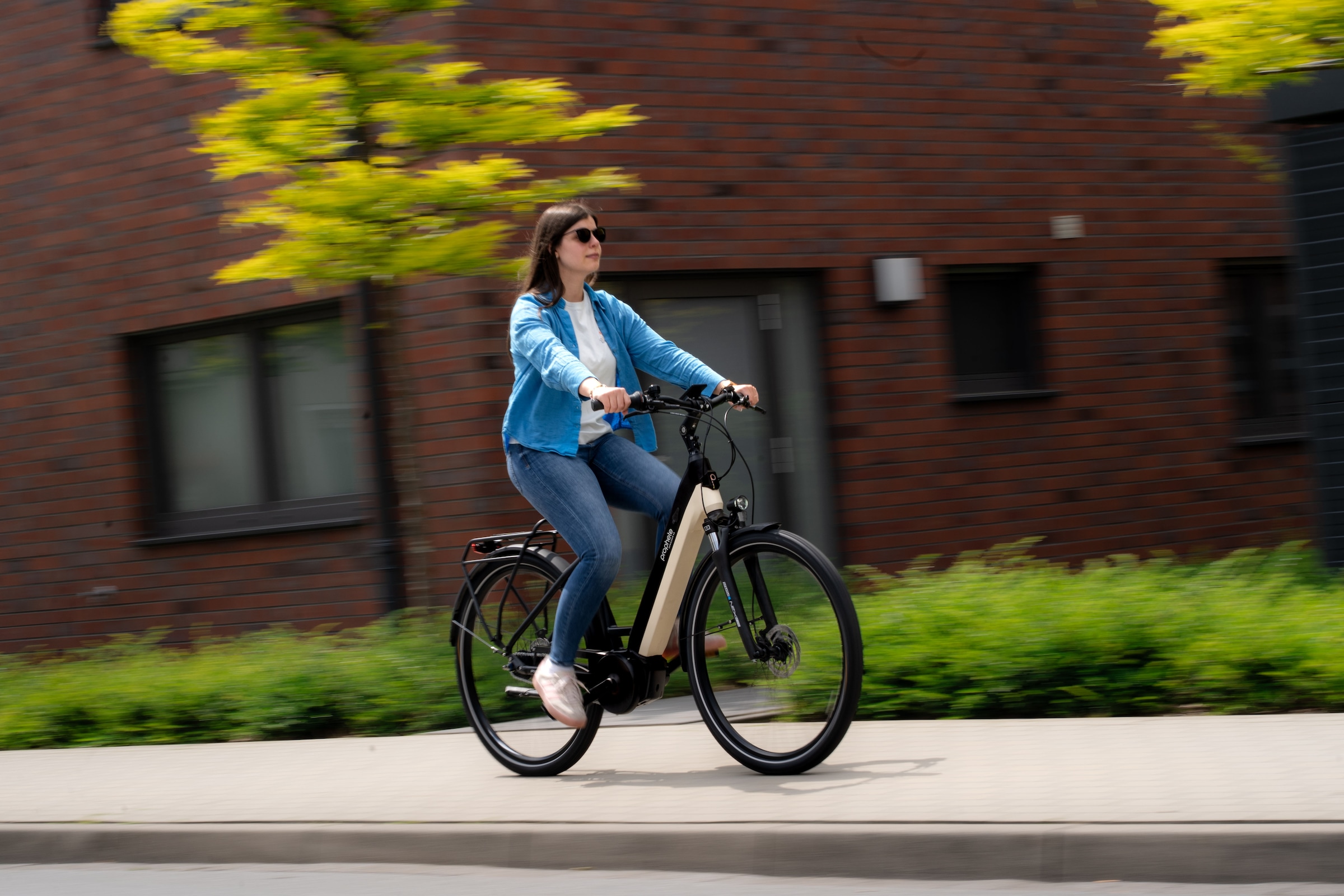 Prophete »Geniesser 4.8« 7 Gang Shimano Nexus Schaltwerk Nabenschaltung Mittelmotor 250 W Pedelec, 10 Jahre Garantie auf den Rahmen