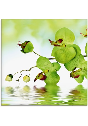 Glasbild »Schöne Orchidee mit grünem Hintergrund«, Blumen, (1 St.)